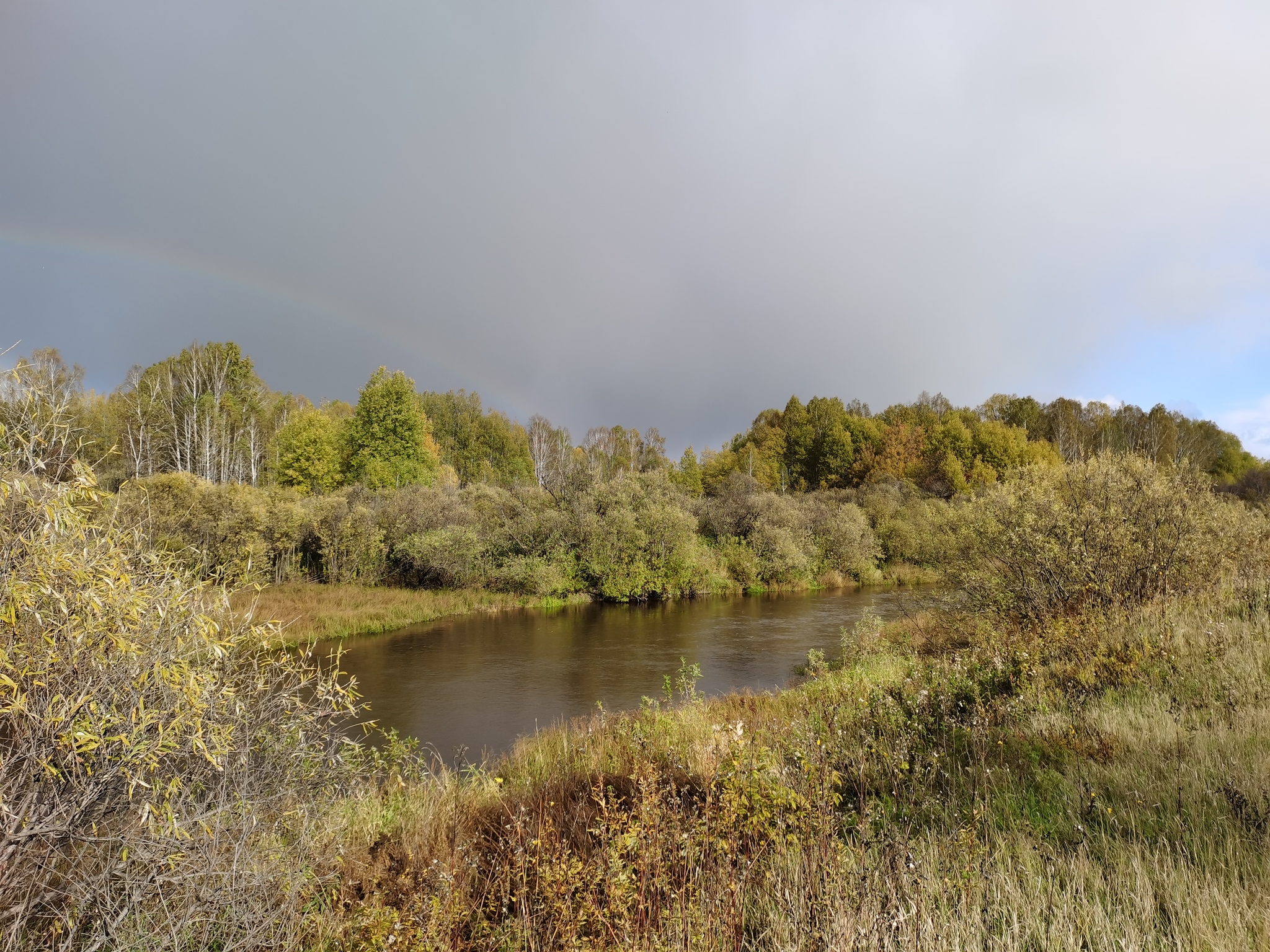 Gold autumn. It is so beautiful! For all those who love this time of year - My, Autumn, Forest, River, Nature, Novosibirsk region, Video, Longpost