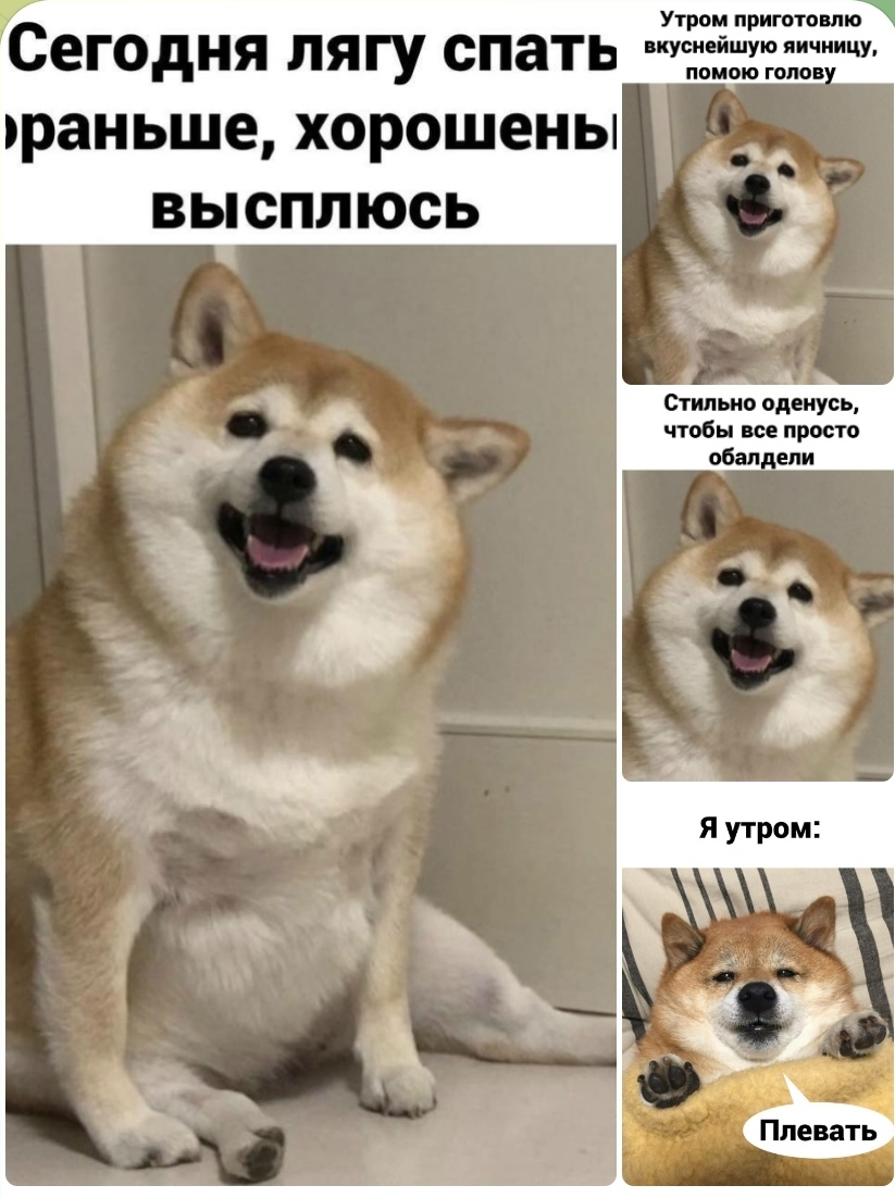 Я сегодня лягу рано