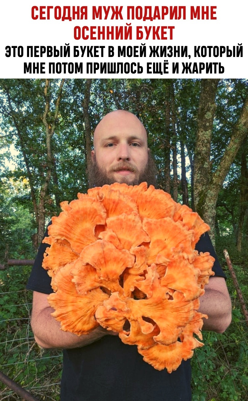 When the husband is a mushroom picker - Husband, Forest, Mushrooms, Men, Picture with text, Autumn, Tinder