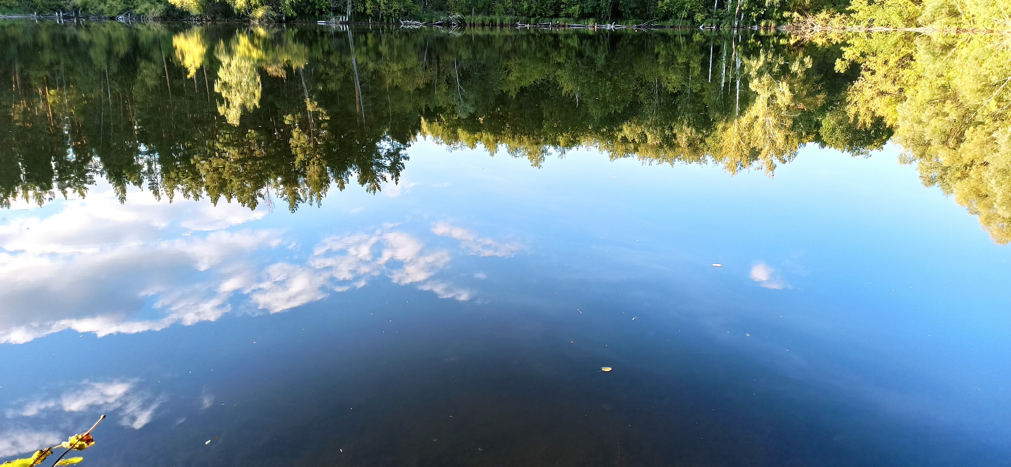 Samara landscapes - My, Samara, Nature, Water, Air, Wind, Sky, The sun, Video, Longpost