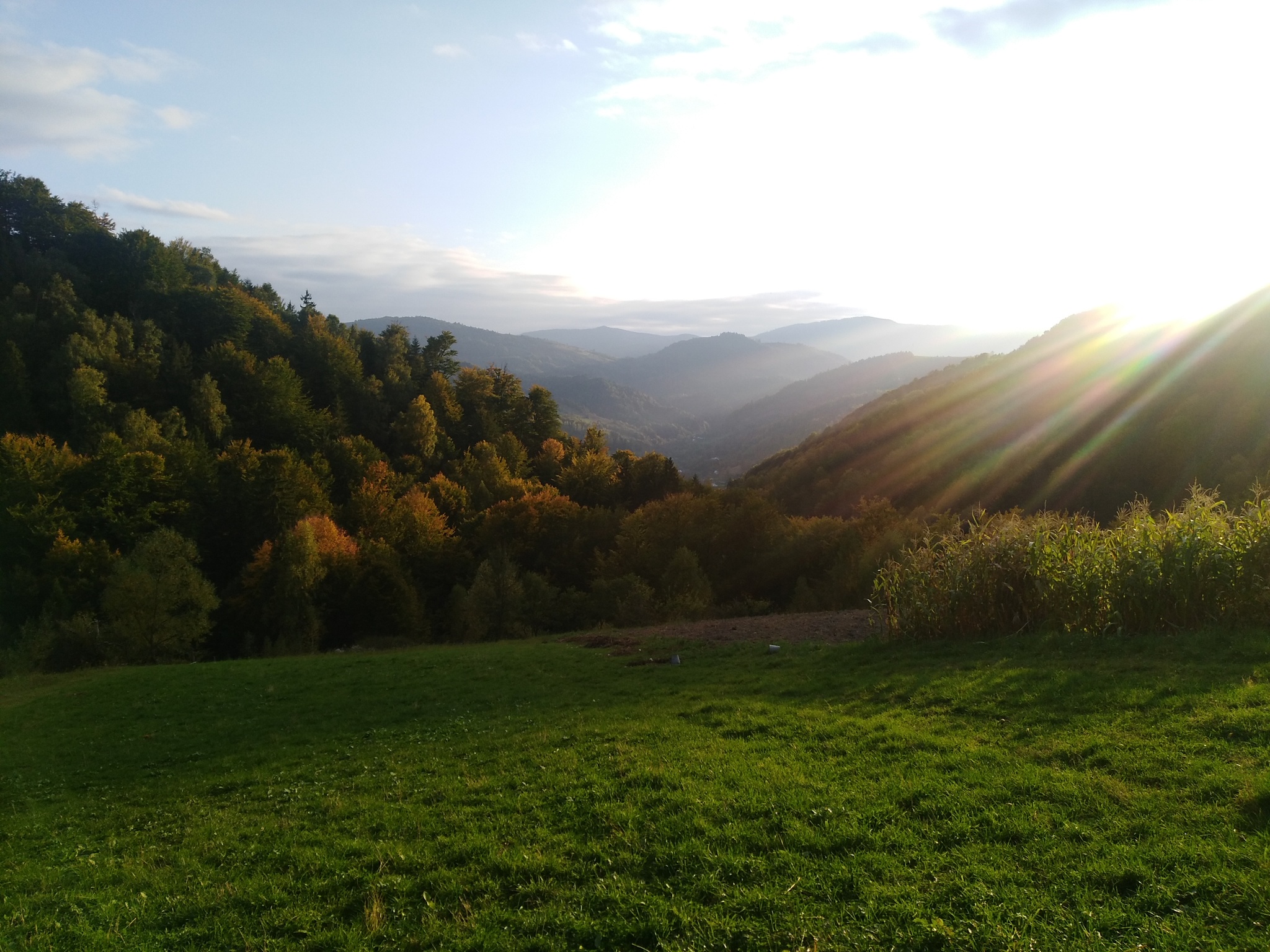 Случайное фото на телефон | Пикабу