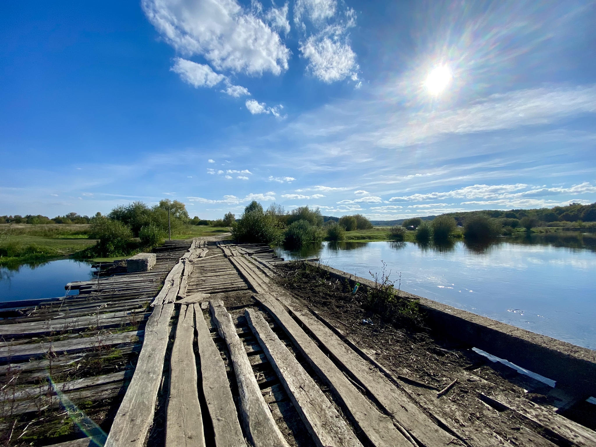 bryansk forest - My, Forest, The photo, Nature, Longpost