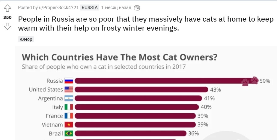 Прилетело... из-за бугра p/Russia - Кот, Юмор, Заграница, Медведи, Россия, Reddit