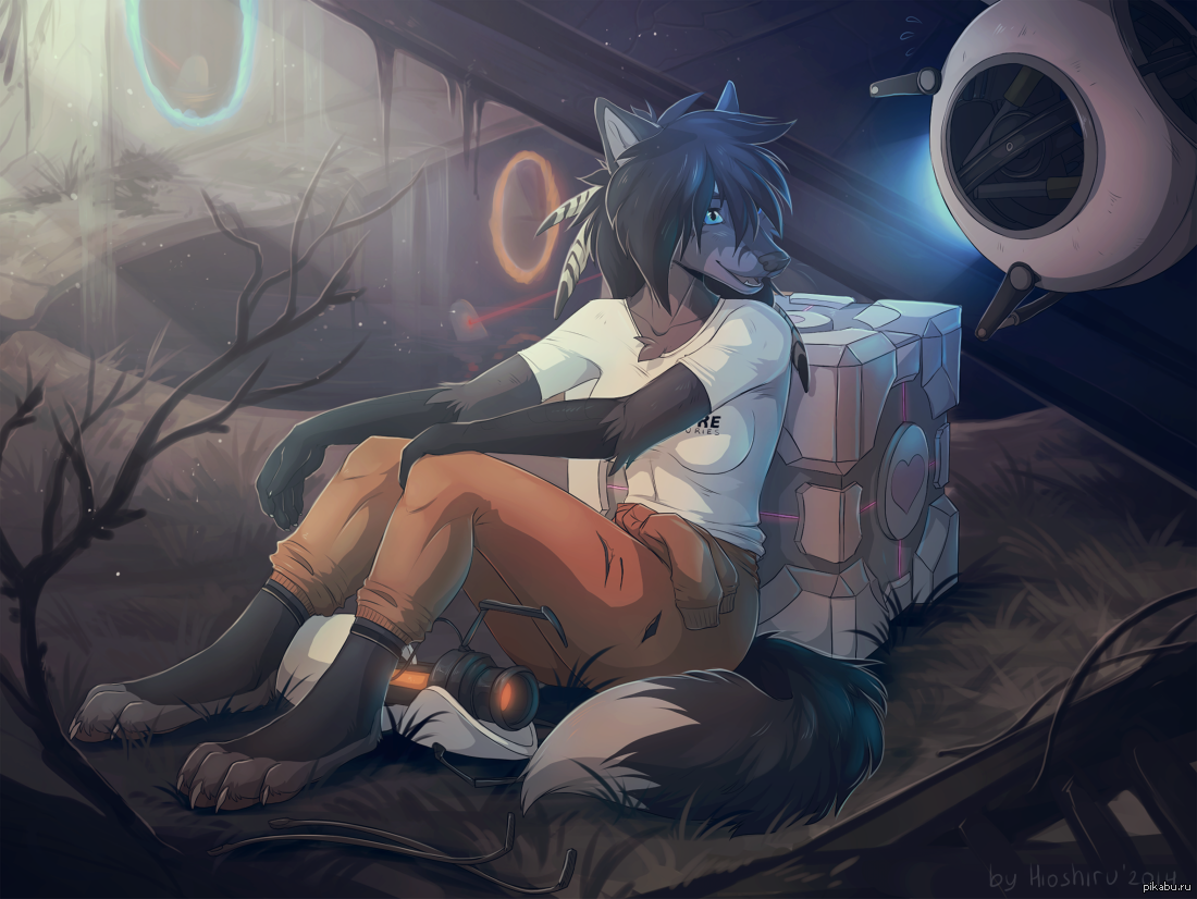 Rortal - Relaxation, Portal, Communication, Furry, Furry canine, Hioshiru