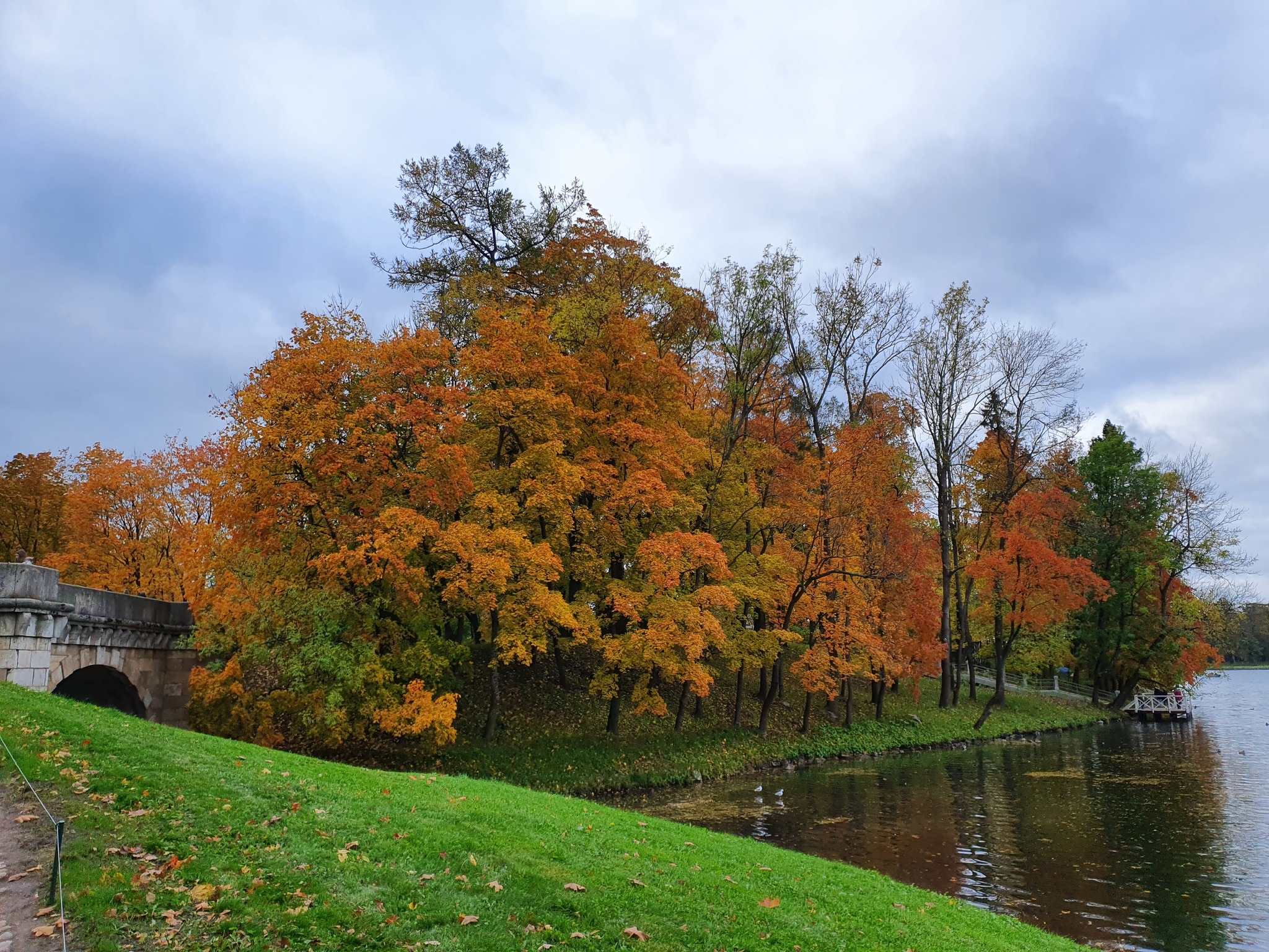 Autumn. - My, Longpost, Gatchina, Nature, Mobile photography, Photo on sneaker, Samsung Galaxy