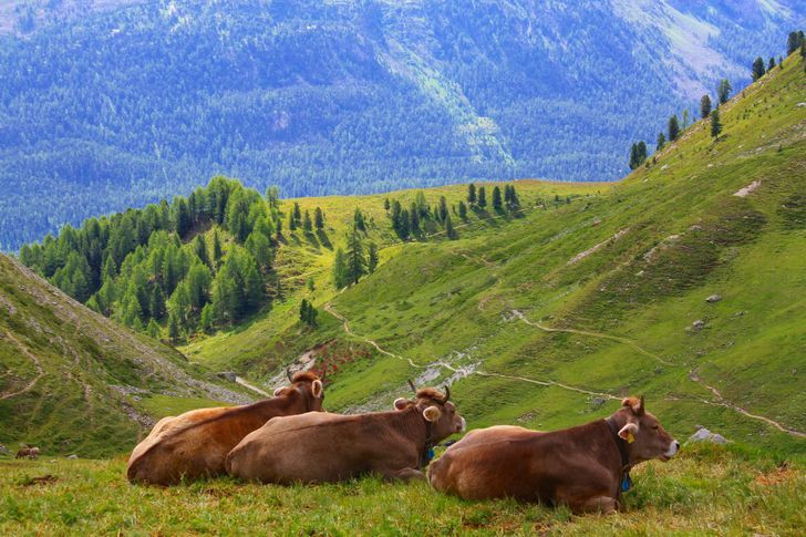 Волшебная Швейцария) - Швейцария, Красота, Путешествия, Фотография, Длиннопост, Копипаста