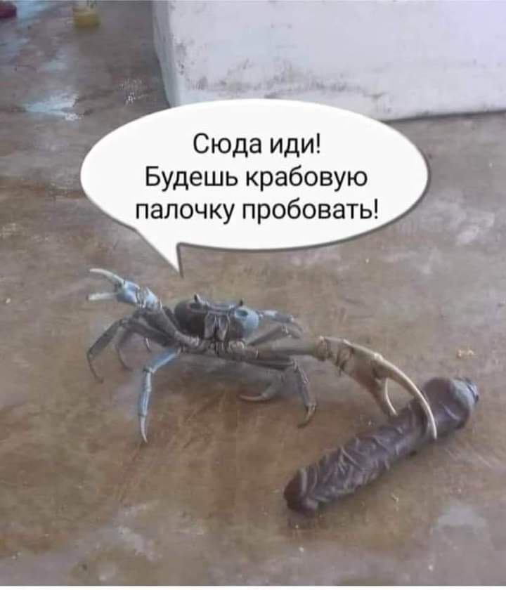 Crab Dildo