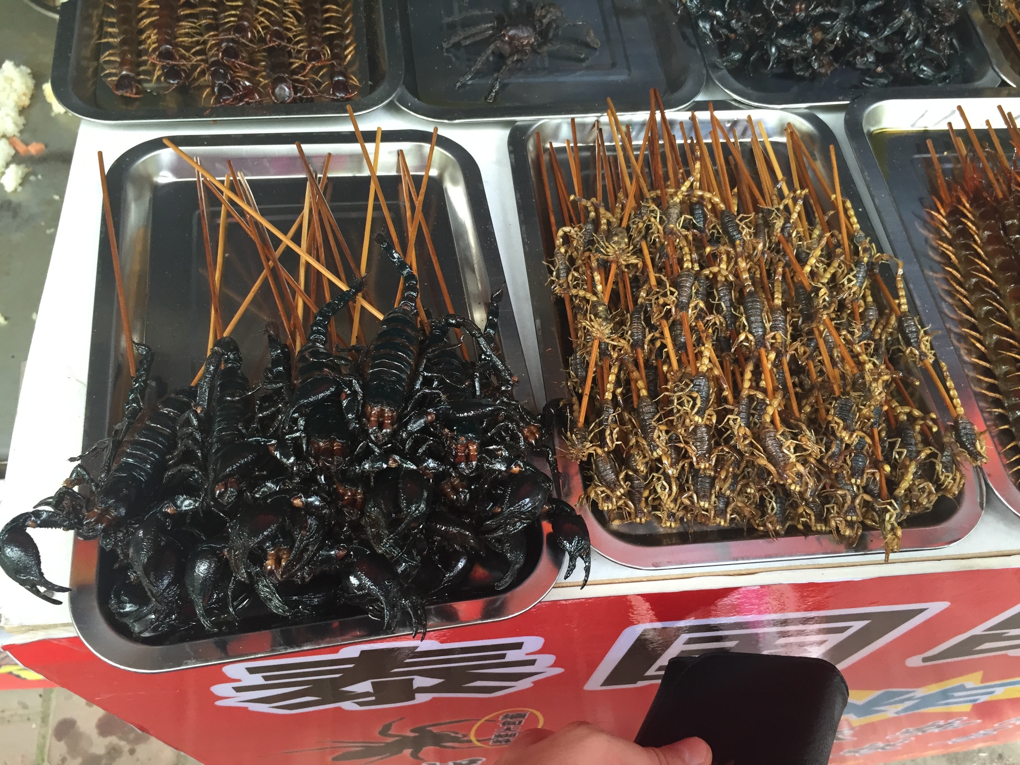 The meal is served, sit down to eat, please. - My, Food, Asia, Exotic, Travels, Vacation, China, Longpost, Spider, Insects