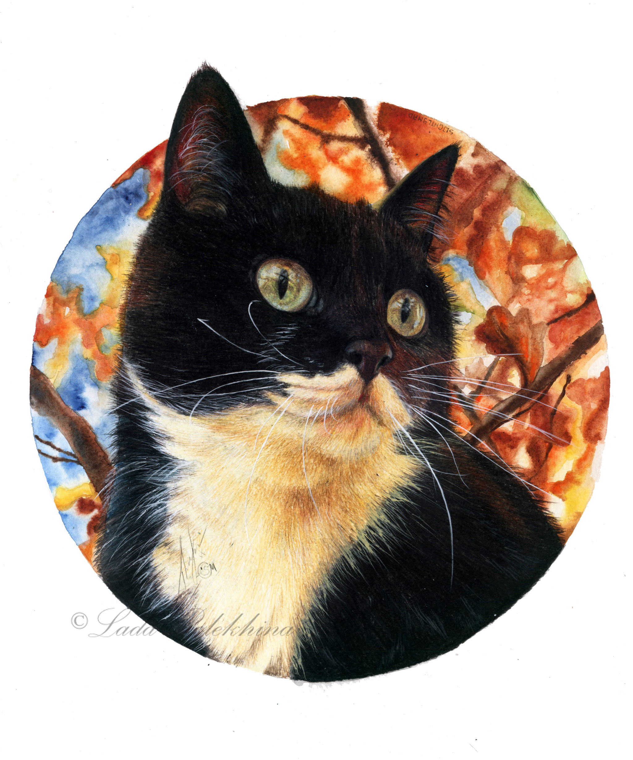 Mixed media drawing - My, Drawing, Colour pencils, cat, Animals, Pets, Watercolor