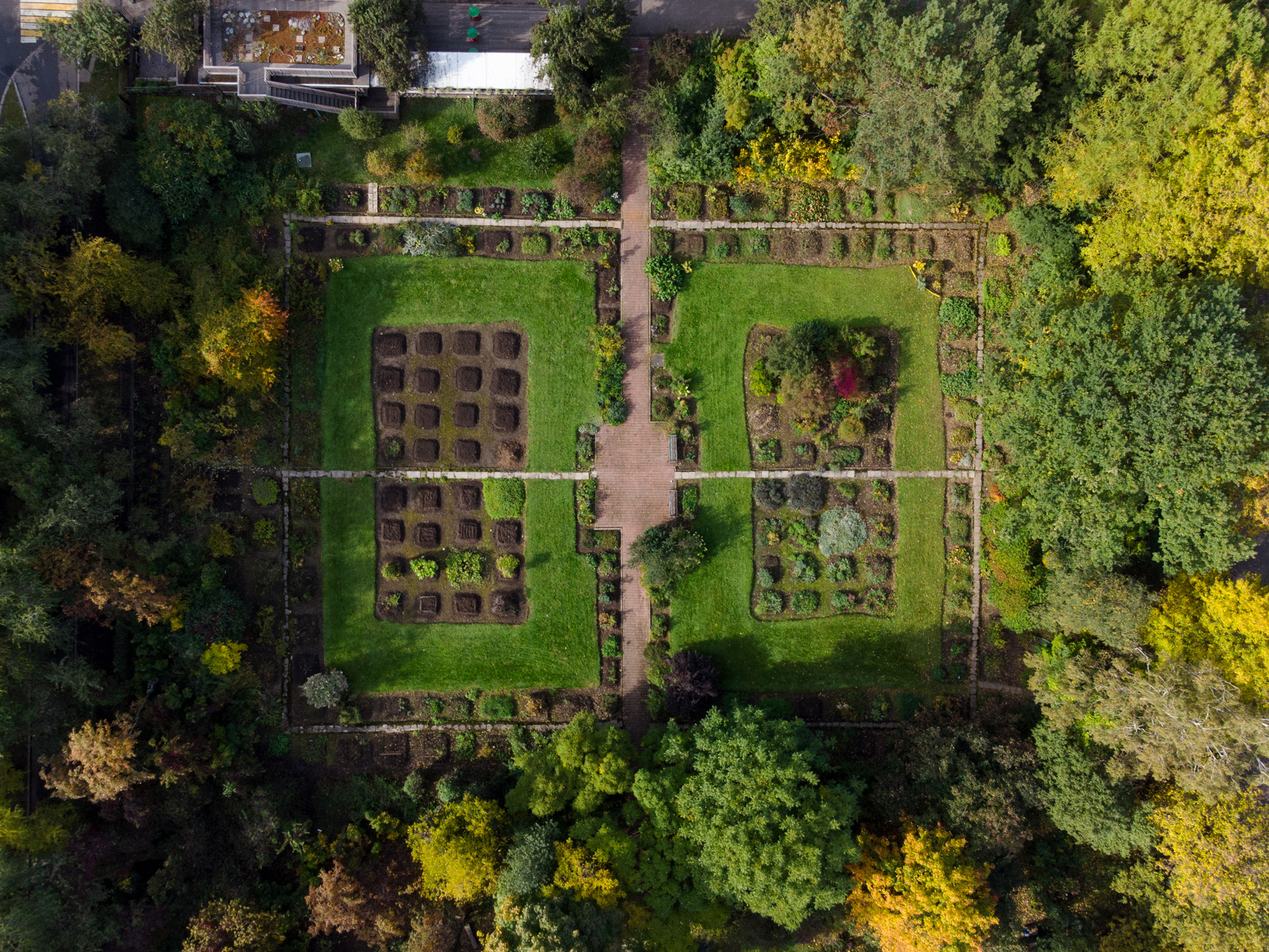 Moscow State University Botanical Garden - fragments - My, Russia, Moscow, MSU, Drone, Autumn, Longpost