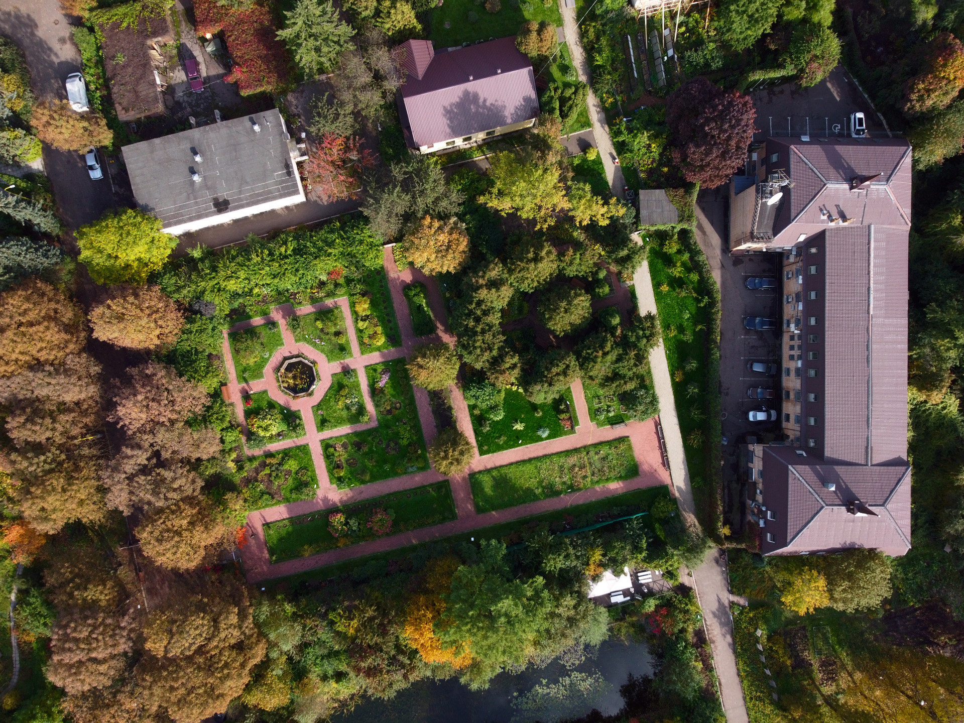 Moscow State University Botanical Garden - fragments - My, Russia, Moscow, MSU, Drone, Autumn, Longpost