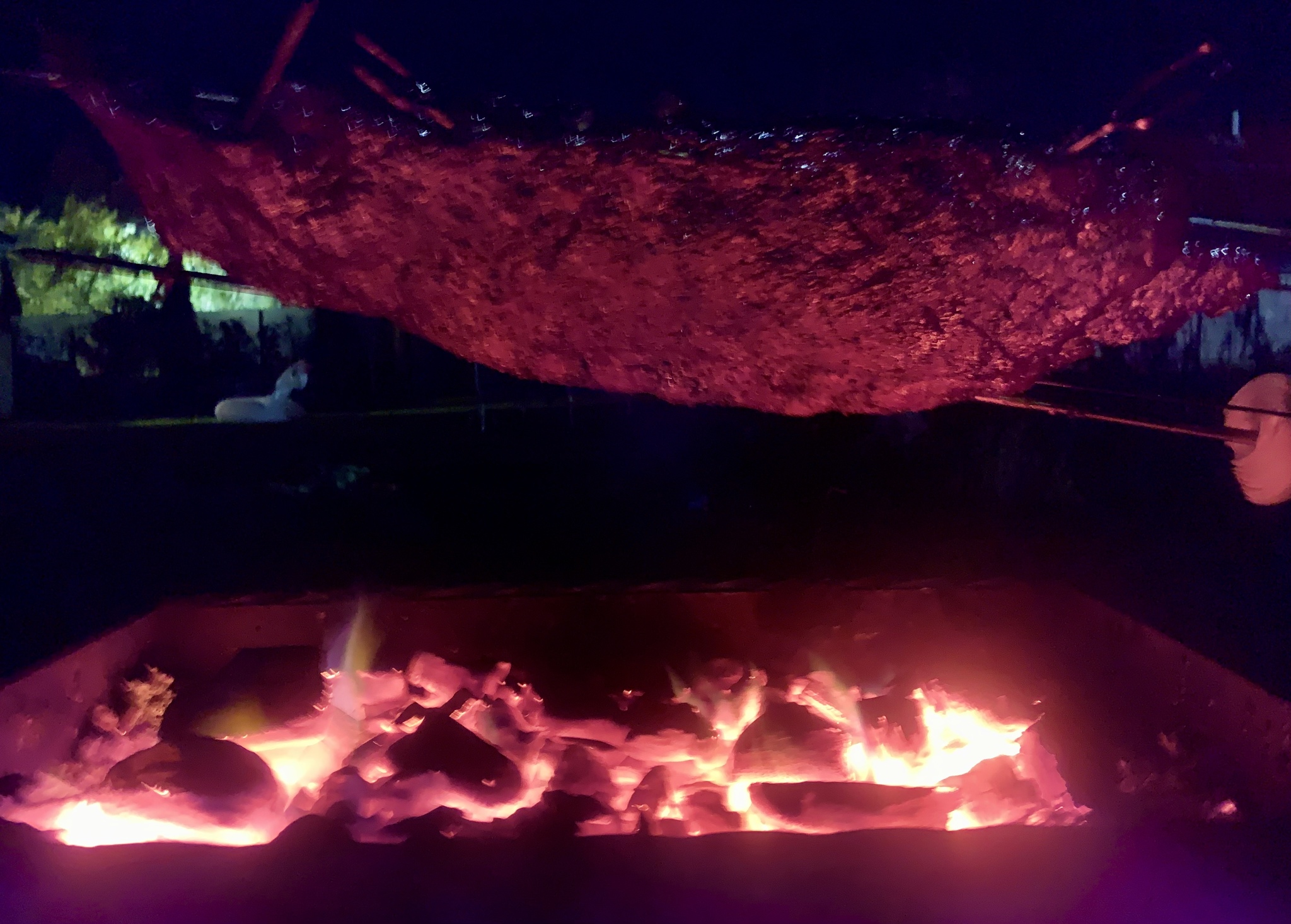 Large pig ribs on the grill - My, Pork, B-B-Q, Ribs, Brazier, For the glory of Satan, Meat, The photo, Vertical video, Video, Longpost