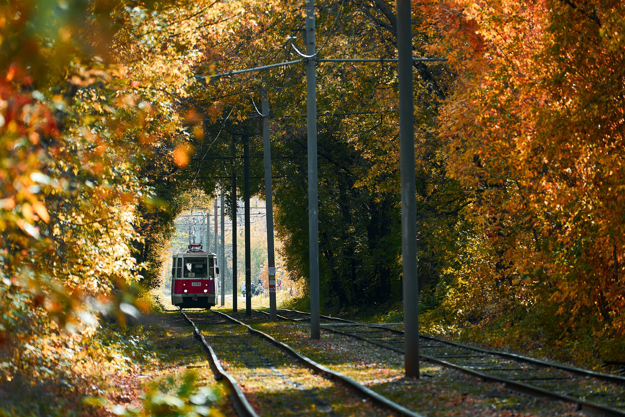 Autumn Nizhny Novgorod - My, Nizhny Novgorod, Autumn, Tram, Town, The photo