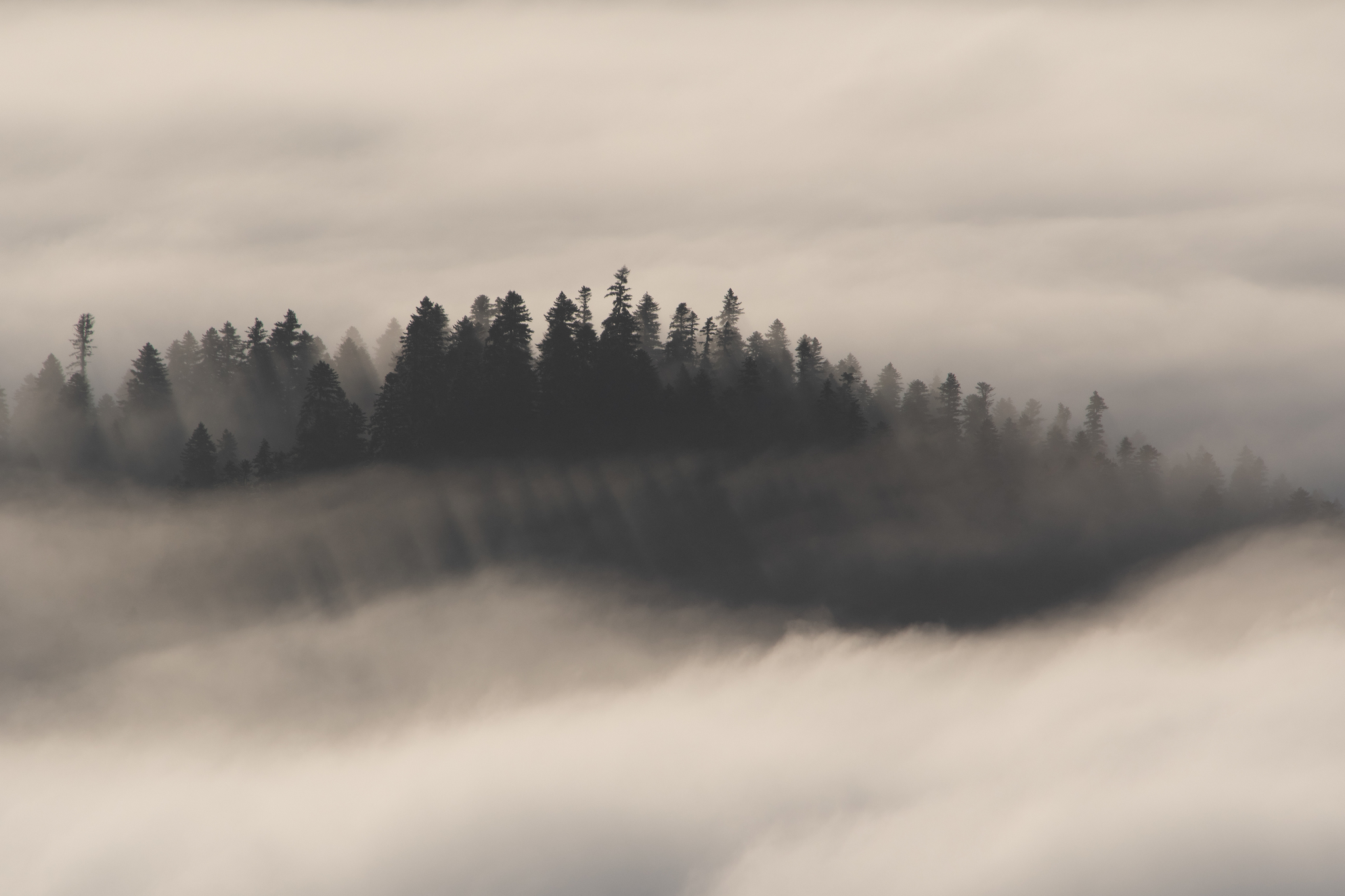 Fir comb in the dawn mist. - My, The photo, Tourism, The mountains