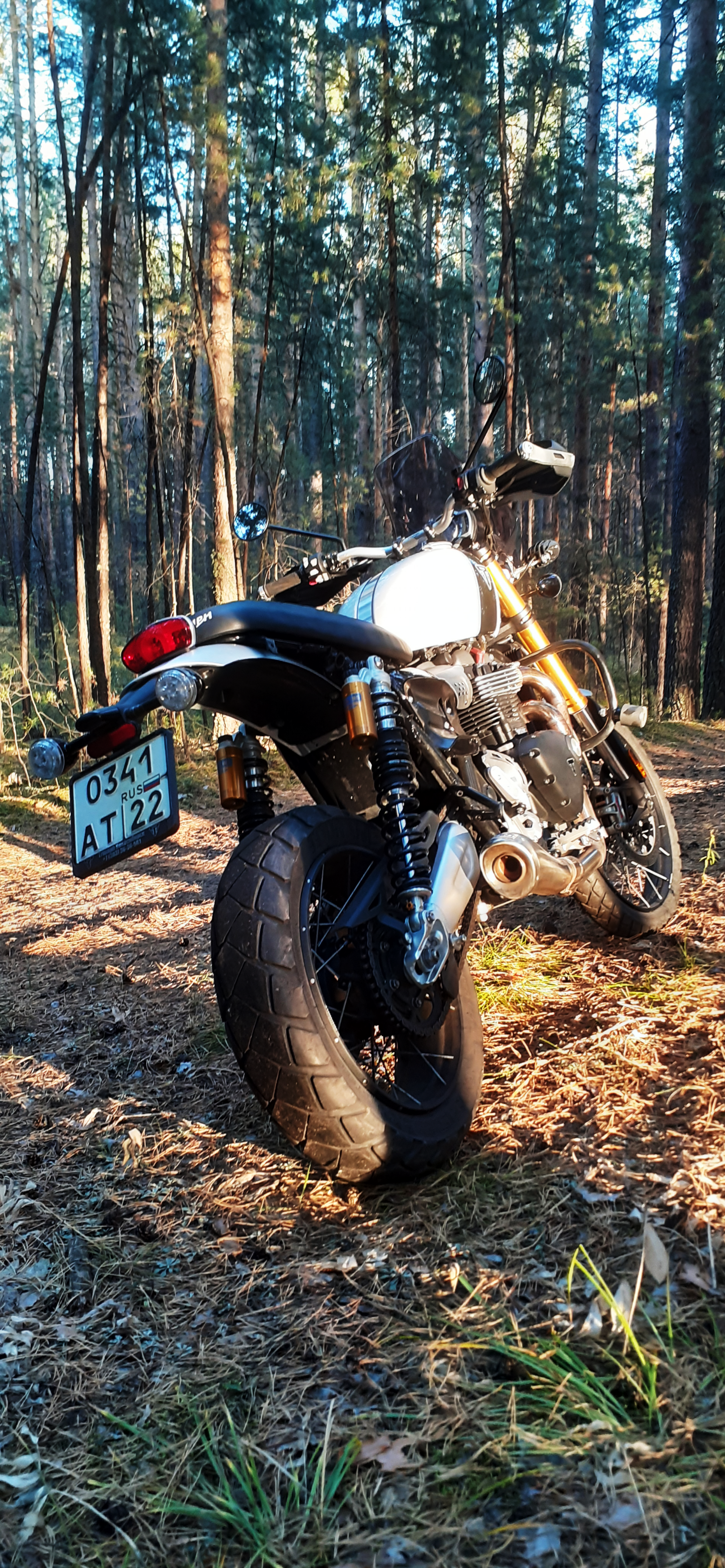 My antidepressant, or when you want to go back to summer - My, Moto, Forest, Summer, Triumph, Longpost