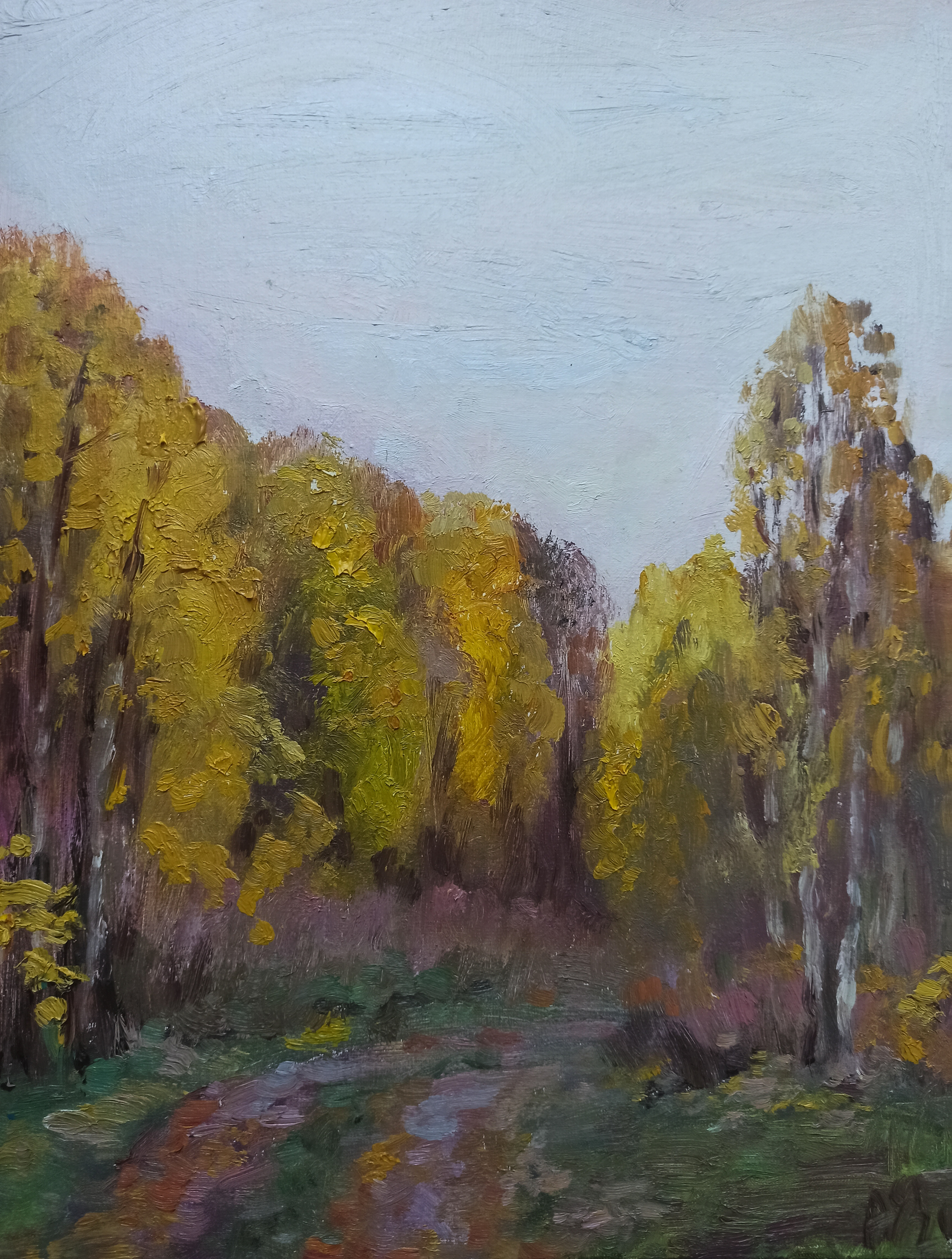 Primer in autumn (x, m, 30*40, 2020) - My, Bezhetsk, Village, Plein air, Oil painting, Autumn, Painting, Canvas, Road, , Grounding