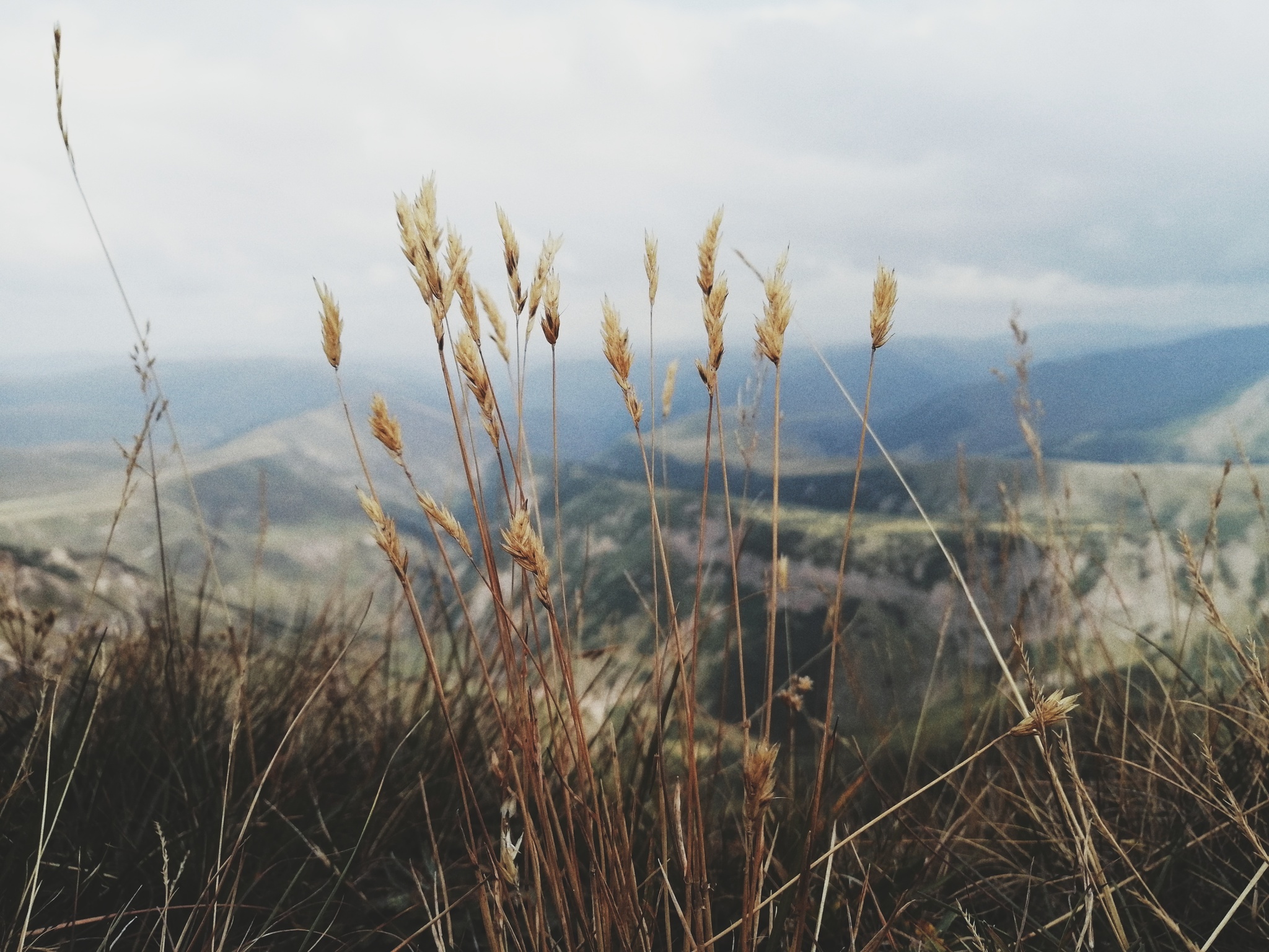 North Caucasus - My, North Caucasus, The photo, Travel across Russia, Travels, Longpost