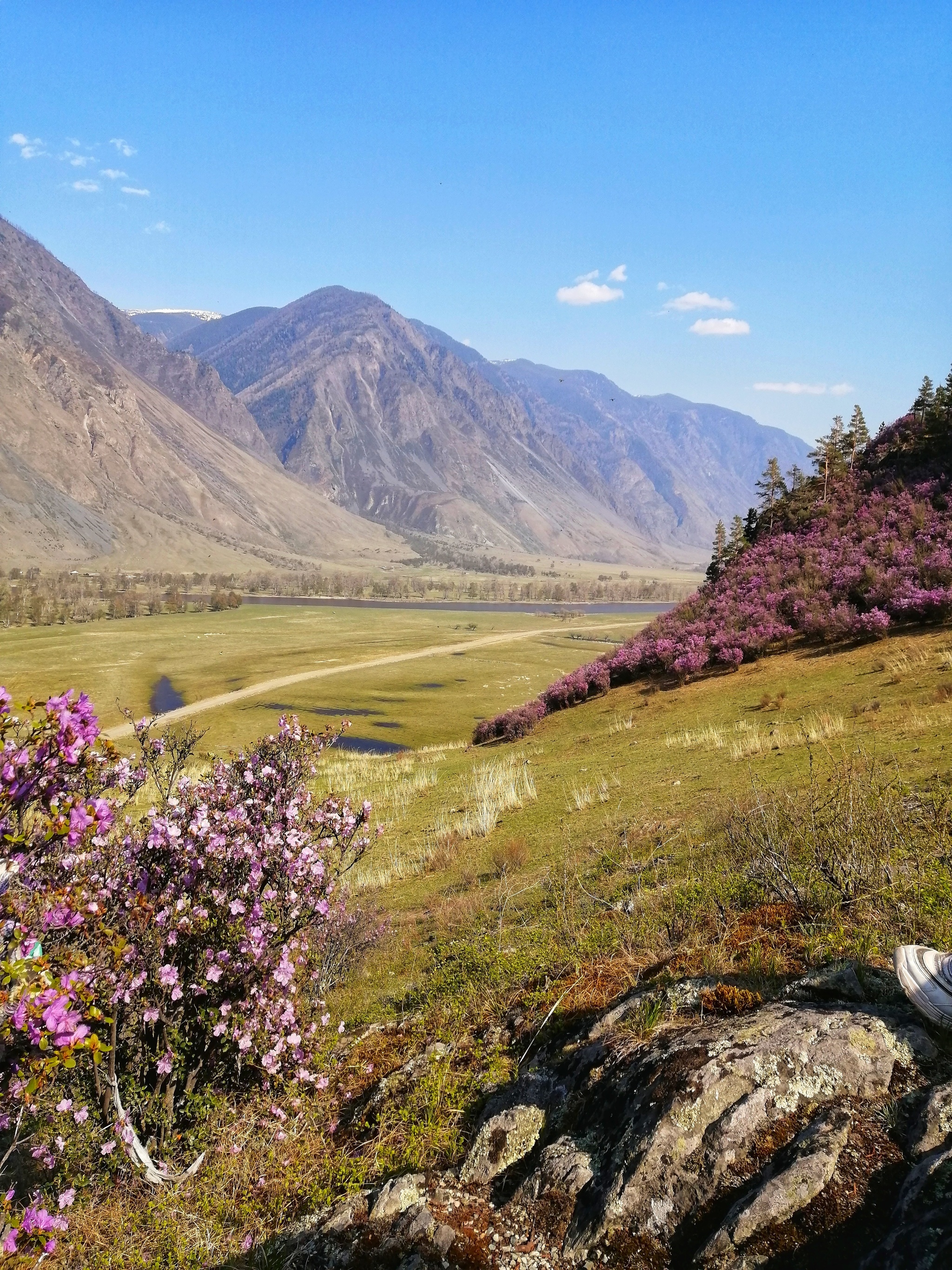 Altai in May - My, Altai Republic, Travel across Russia, Altai Mountains, Longpost