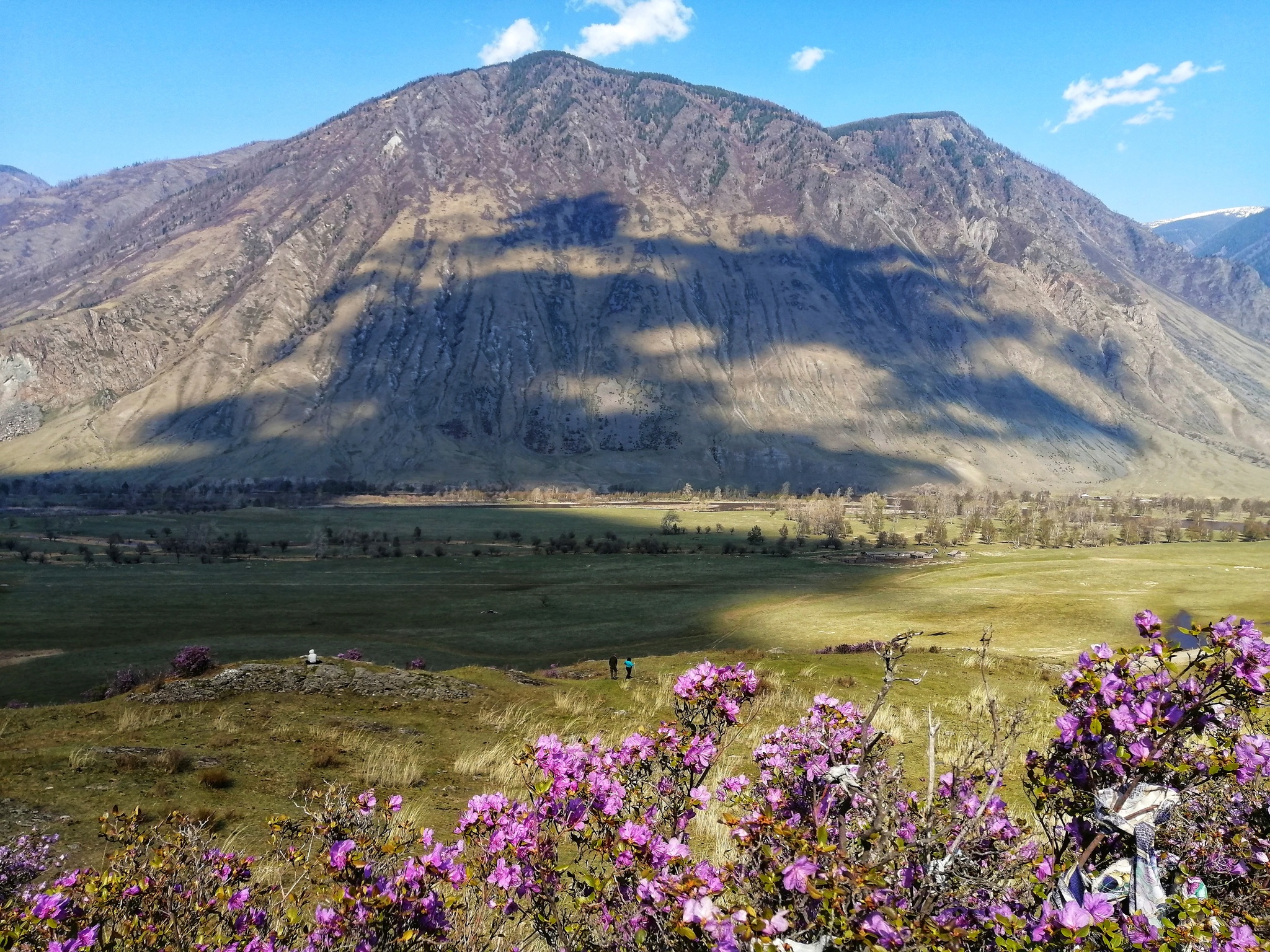 Altai in May - My, Altai Republic, Travel across Russia, Altai Mountains, Longpost