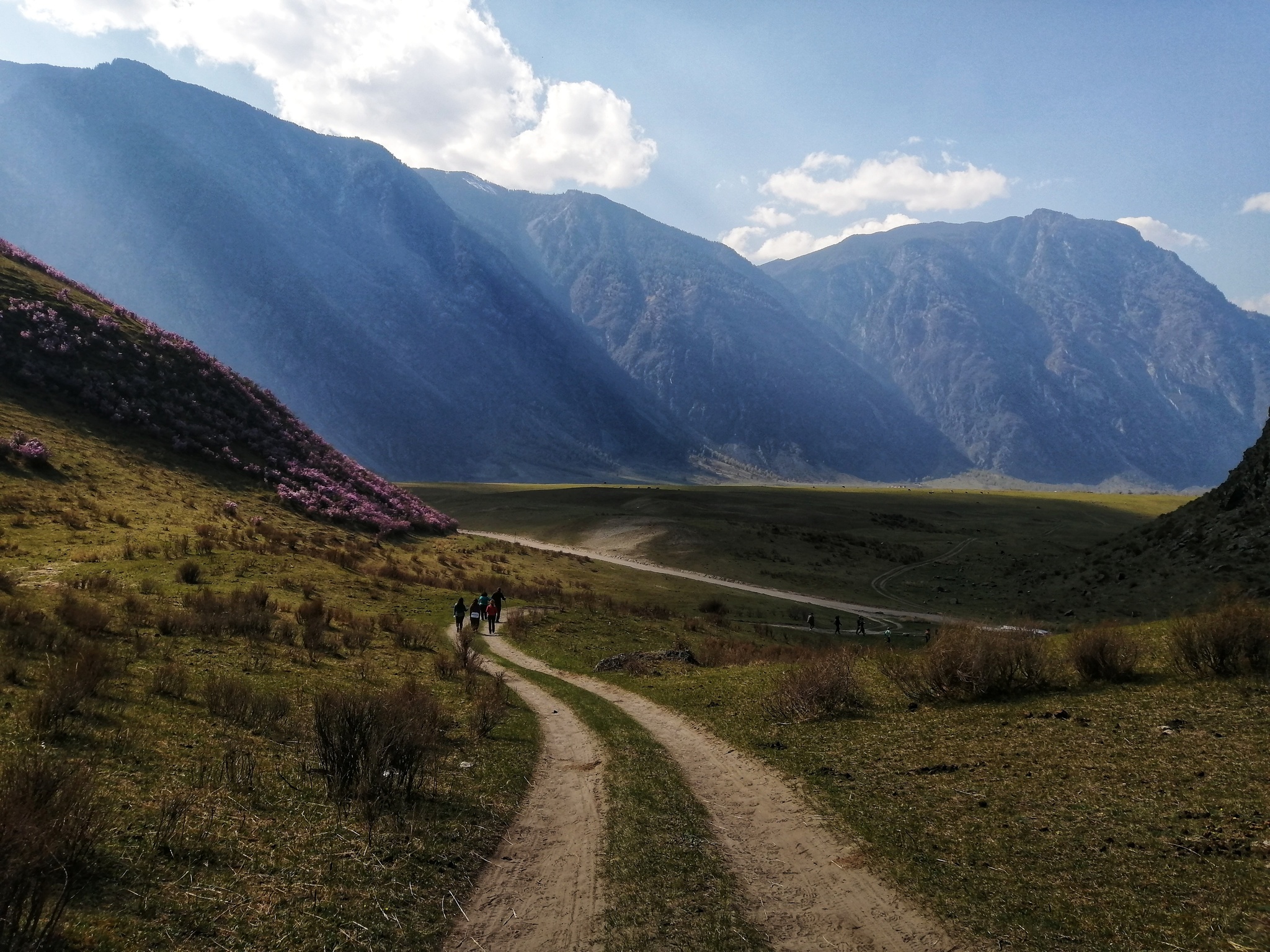 Altai in May - My, Altai Republic, Travel across Russia, Altai Mountains, Longpost