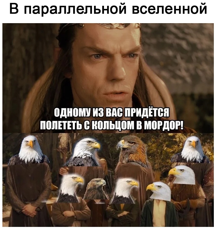 А почему бы не отправить хоббитов? - Властелин колец, Толкин, Орлы, Хоббит, Параллельные миры, Мемы, Длиннопост