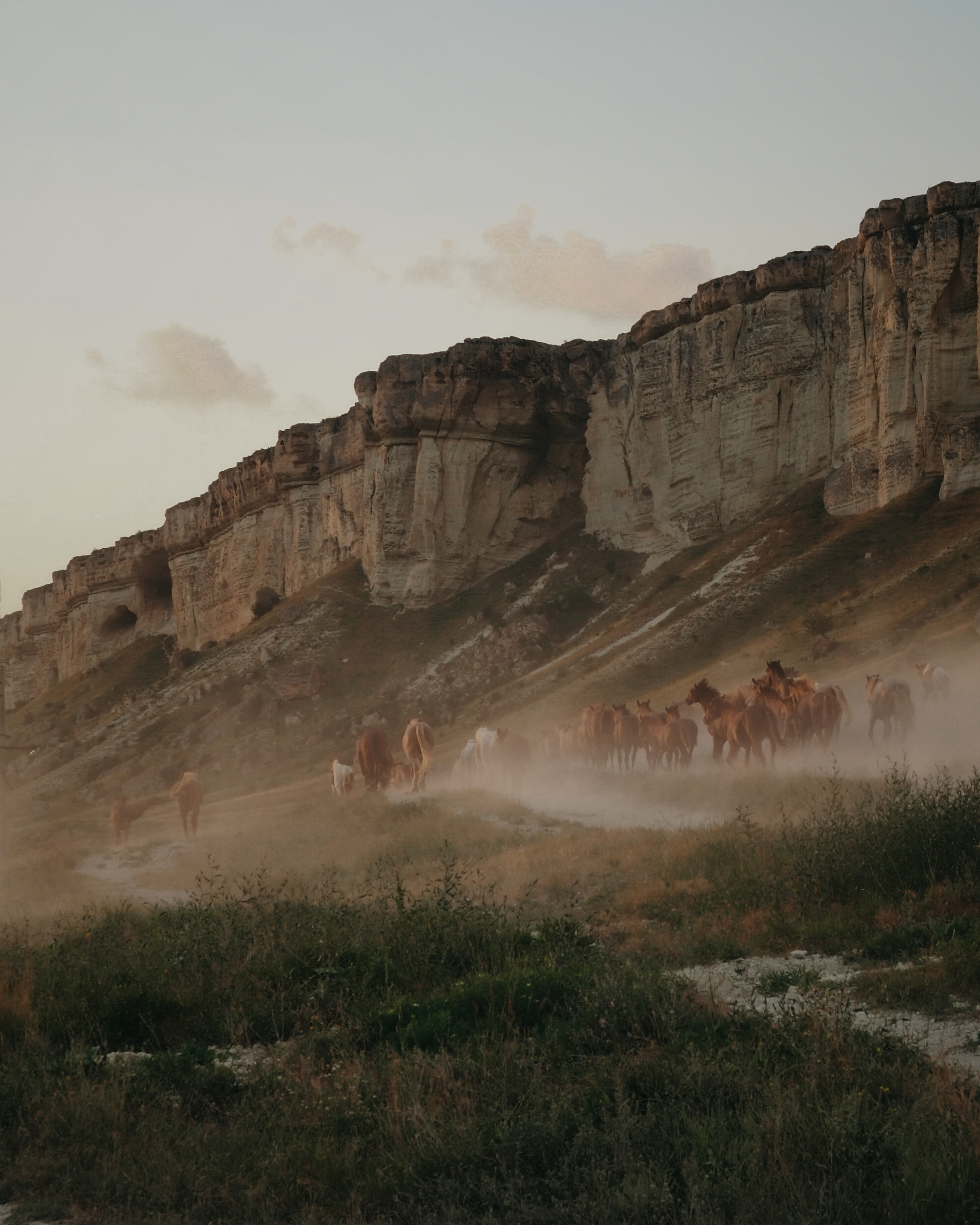 White Rock (Ak-Kaya) Crimea - My, The photo, Crimea, Horses, The mountains, White Rock, Longpost