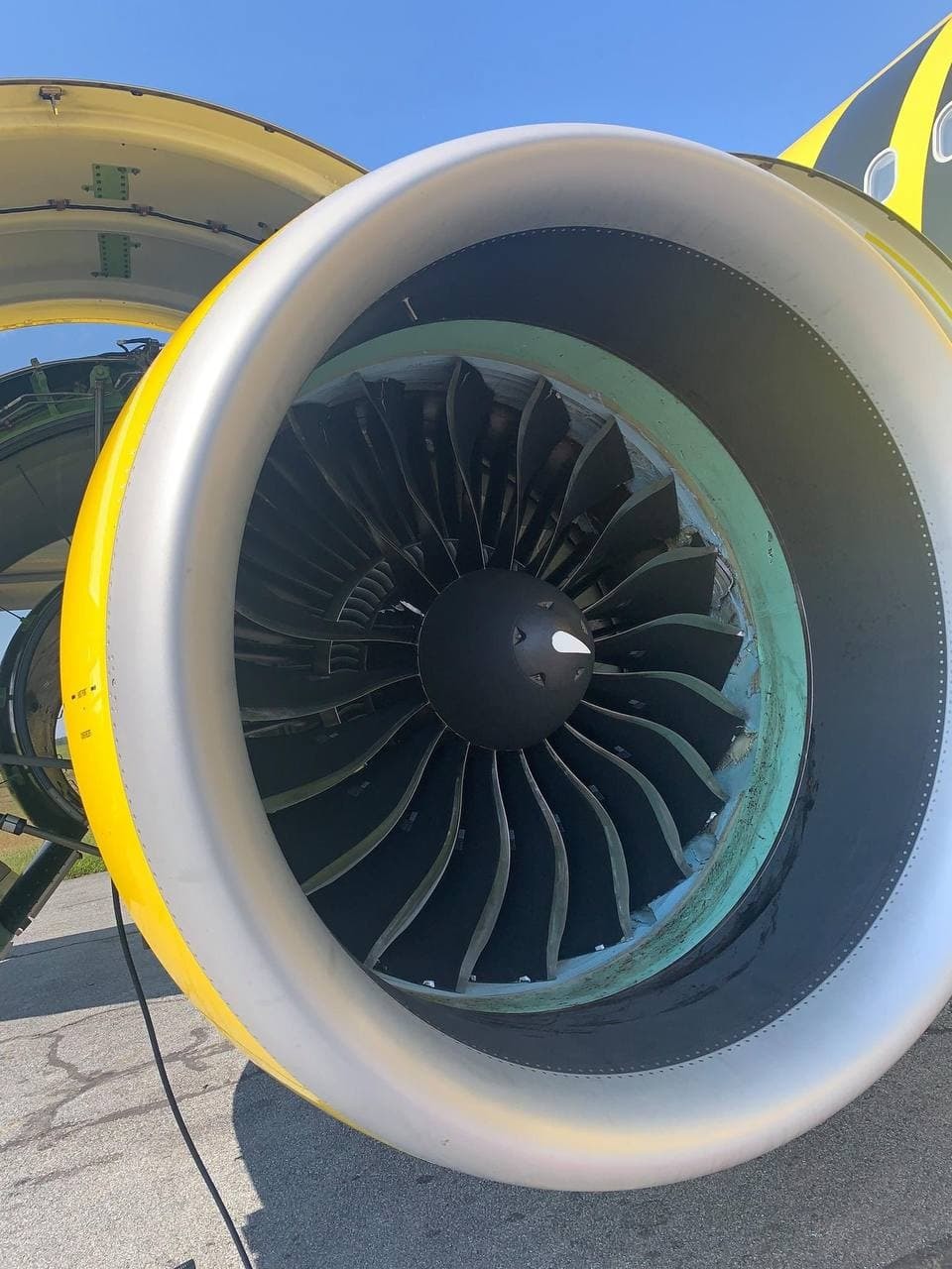 Airbus A320 engine fire due to bird ingestion - Aviation, USA, Atlanta, Incident, Airbus A320, Bird strike, Fire, Evacuation, , Vertical video, Spirit, Video, Longpost