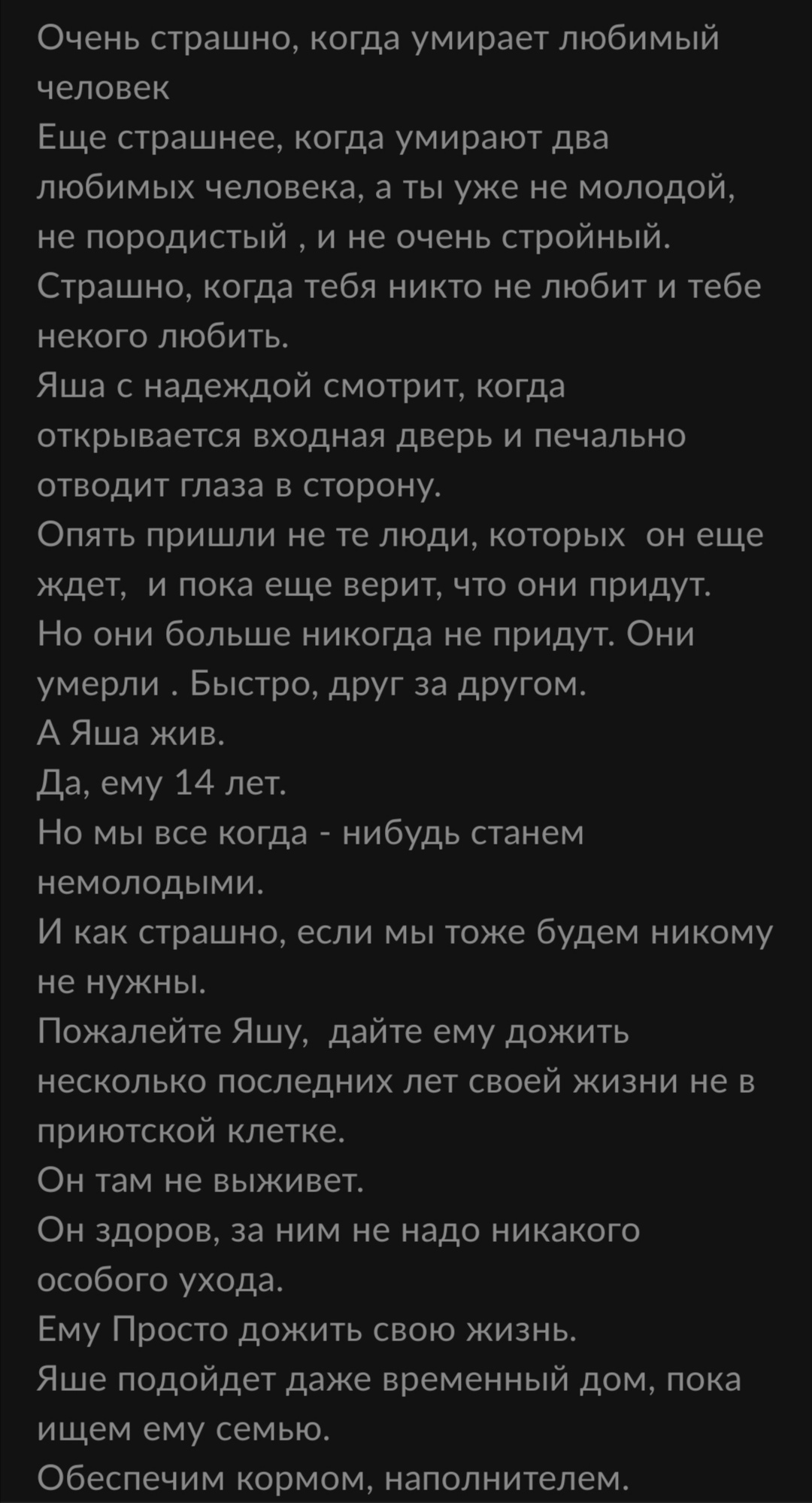 Однажды Эрнест Хемингуэй поспорил, что сможет написать самый короткий  рассказ, способный растрогать любого | Пикабу