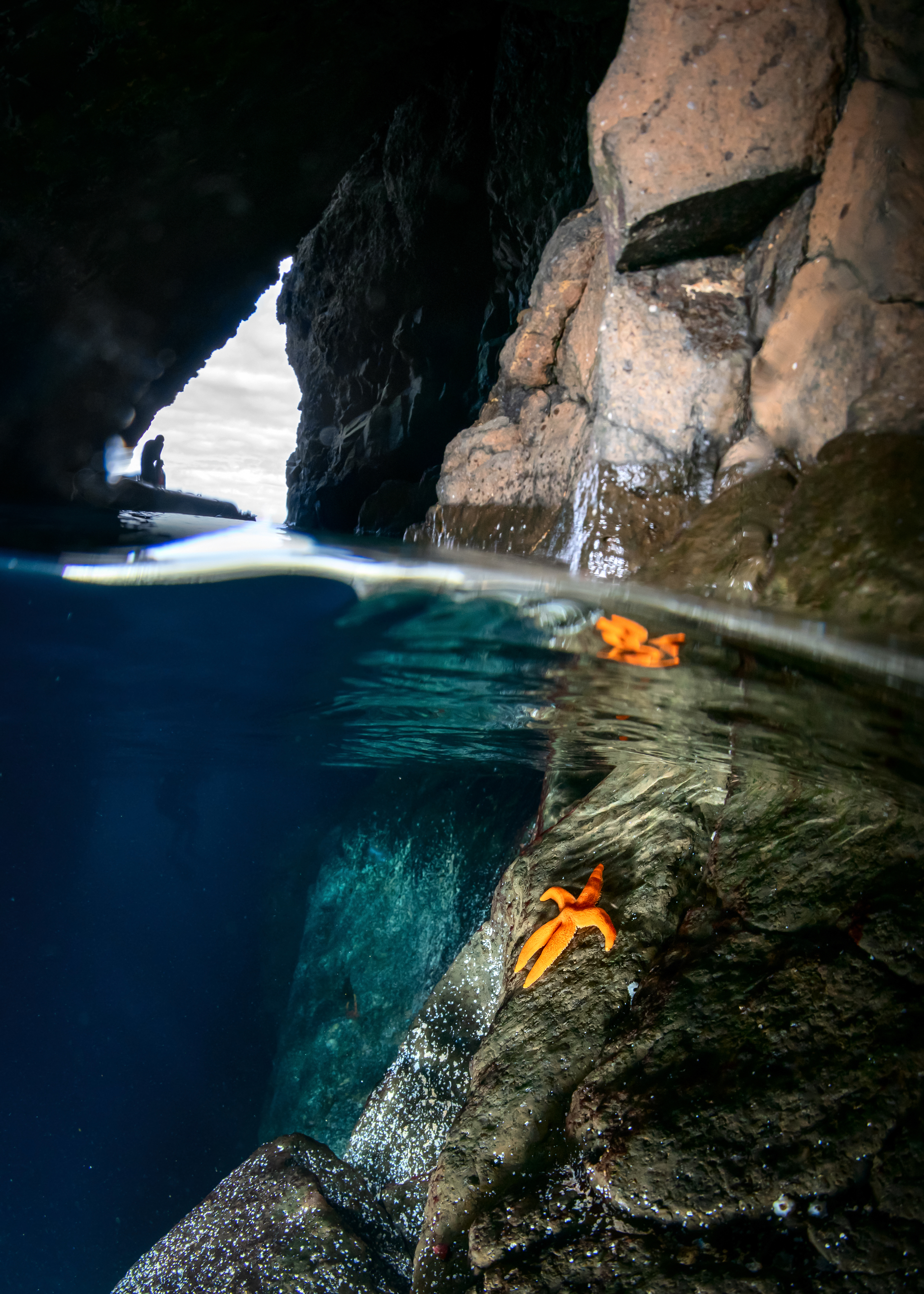 Moneron - you're just space! - Diving, Moneron, Sakhalin, Sakhalin Region, Marine life, Underwater world, Underwater photography, Longpost