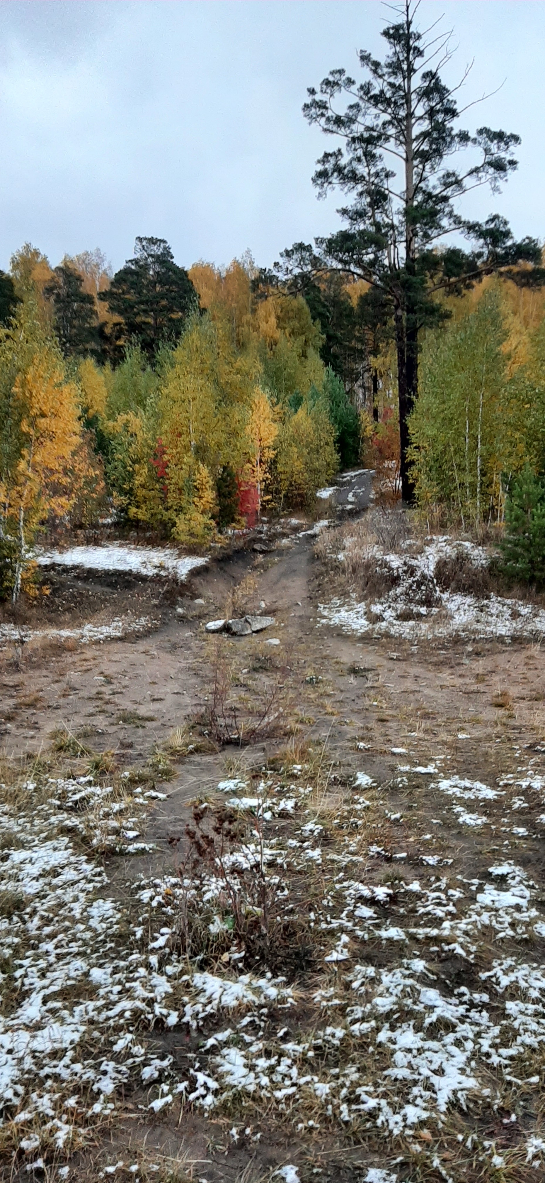 Autumn - My, First snow, Nature, Autumn, Longpost