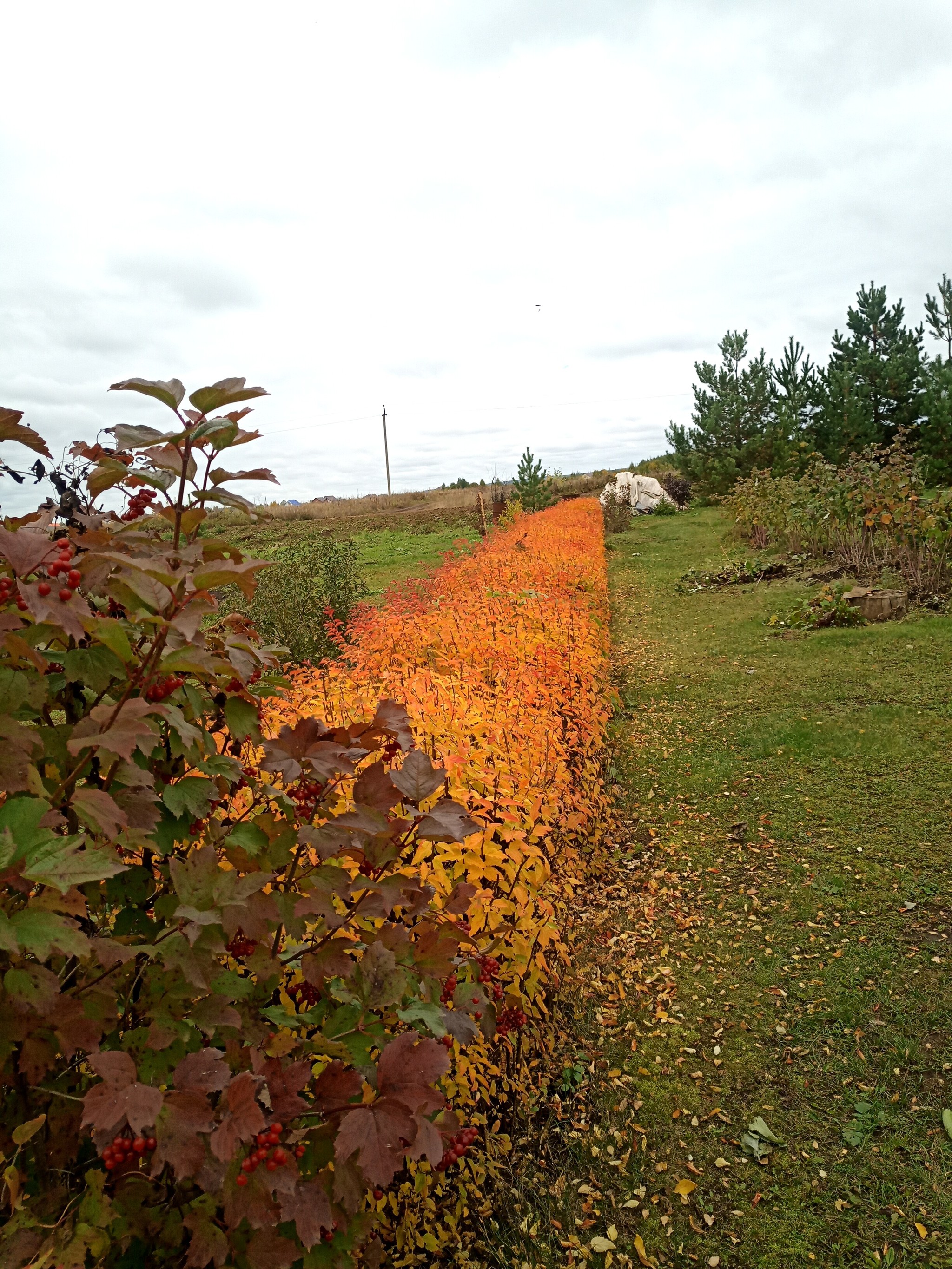 Autumn - My, The photo, Autumn, Ural, Nature, Longpost