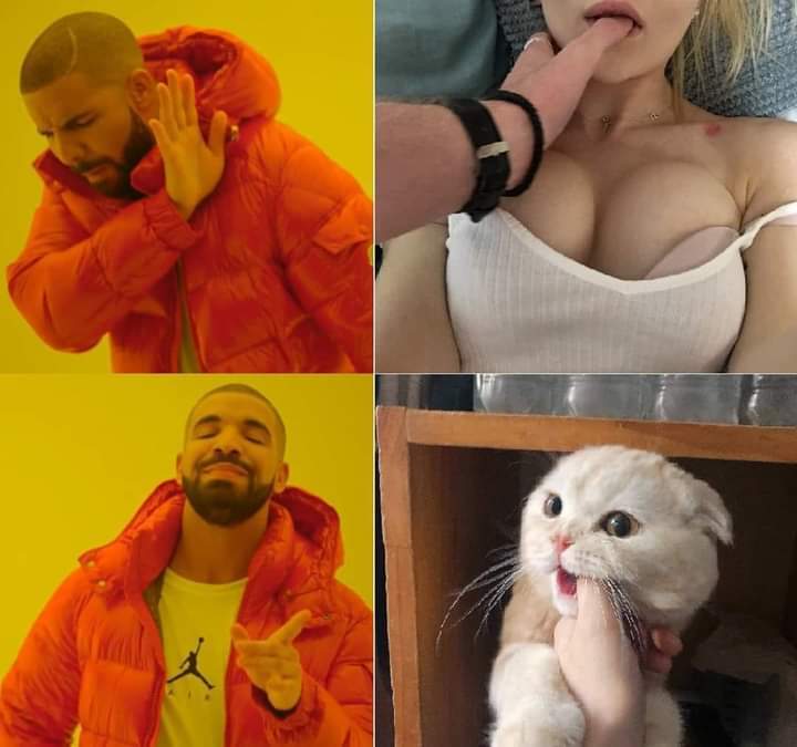 Kitty - NSFW, cat, Humor, Rapper Drake, Memes, Kus