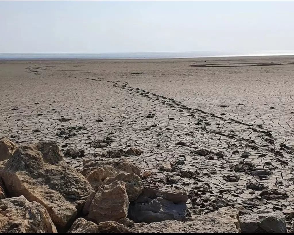 Don bays. Таганрогский залив обмелел. Обмеление Азовского моря. Обмелевшее Азовское море Таганрог. Таганрог залив Азовского моря.