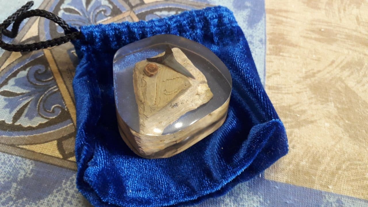 Fossils in epoxy - My, Epoxy resin jewelry, With your own hands, Longpost