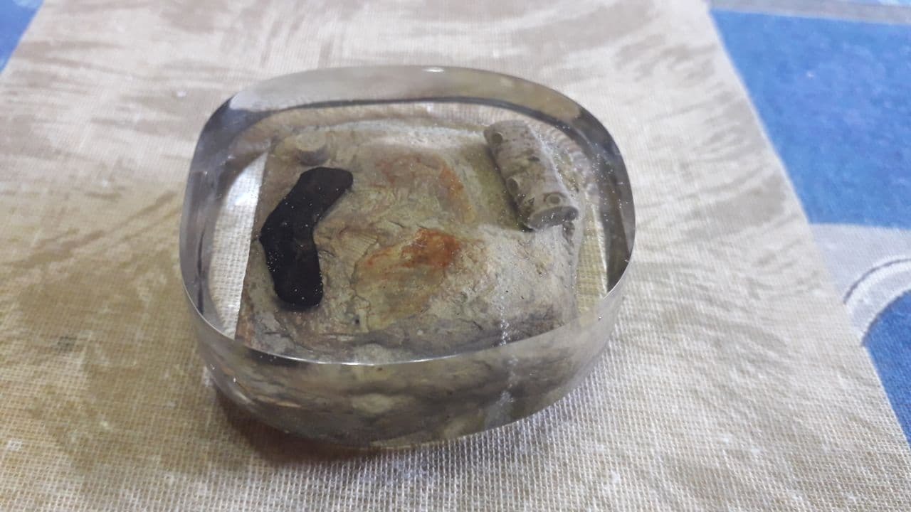 Fossils in epoxy - My, Epoxy resin jewelry, With your own hands, Longpost