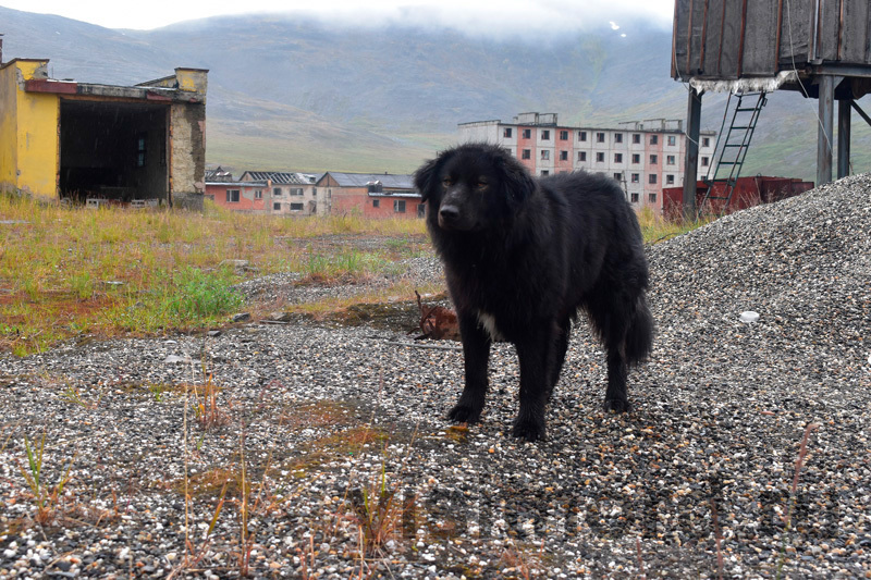 Kindergarten Iultina. - My, Kindergarten, North, Chukotka, , Ghost town, Abandoned, Travels, Travelers, , Tourism, Туристы, Longpost