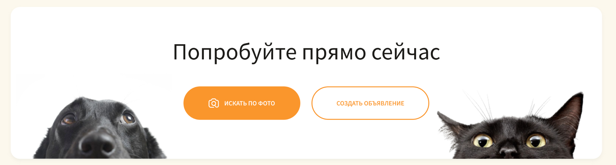 Хвост удачи» поможет найти потерявшихся домашних животных | Пикабу