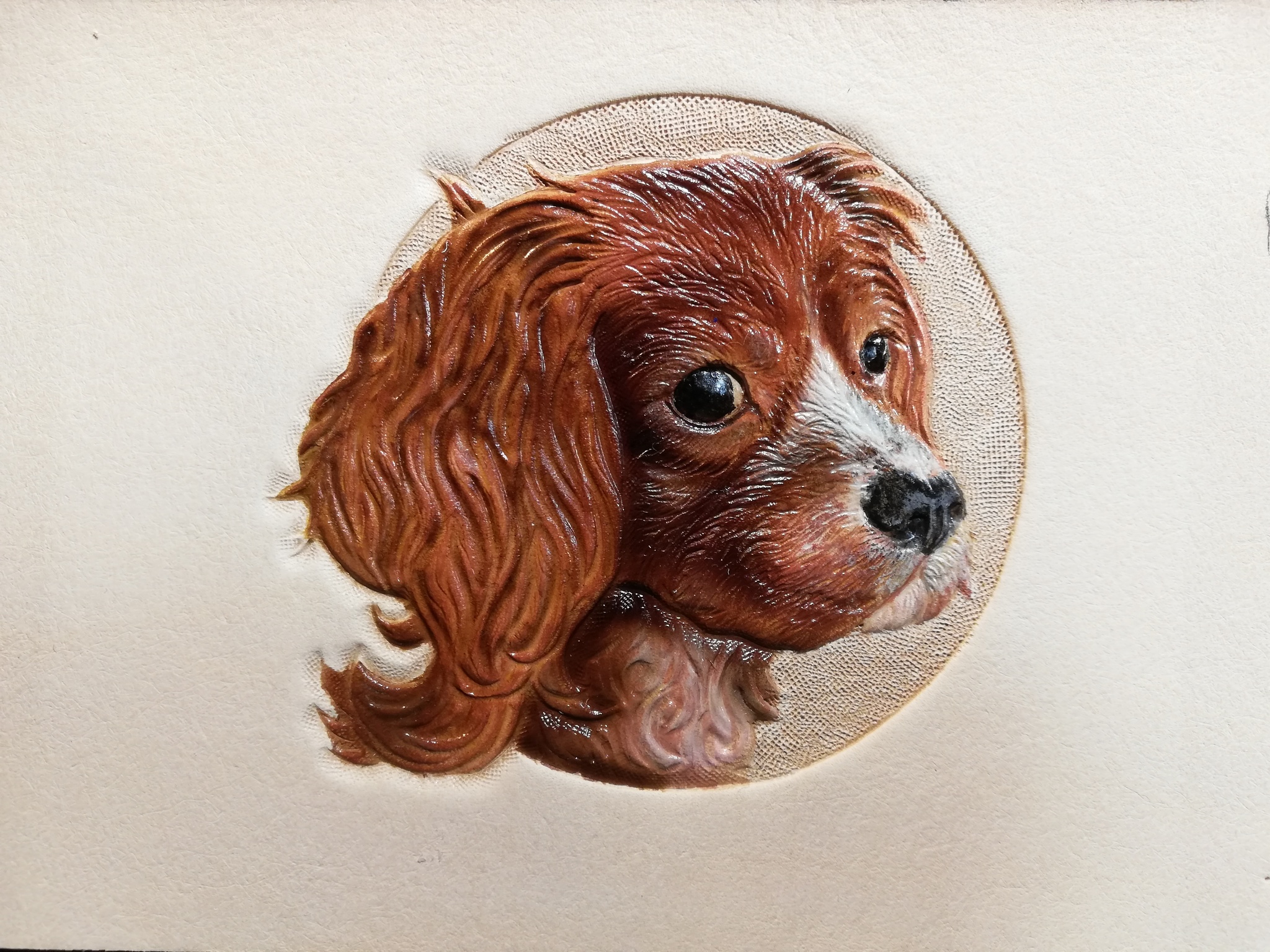 Ryzhik - My, Handmade, Embossing on leather, Vertical video, Video, Needlework with process, Painting, Animals, Longpost, Dog