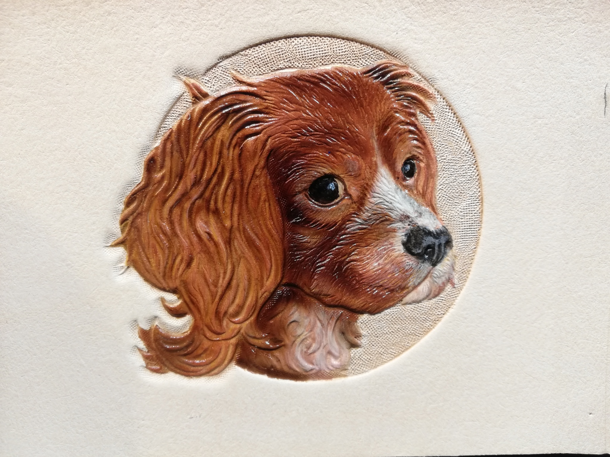 Ryzhik - My, Handmade, Embossing on leather, Vertical video, Video, Needlework with process, Painting, Animals, Longpost, Dog