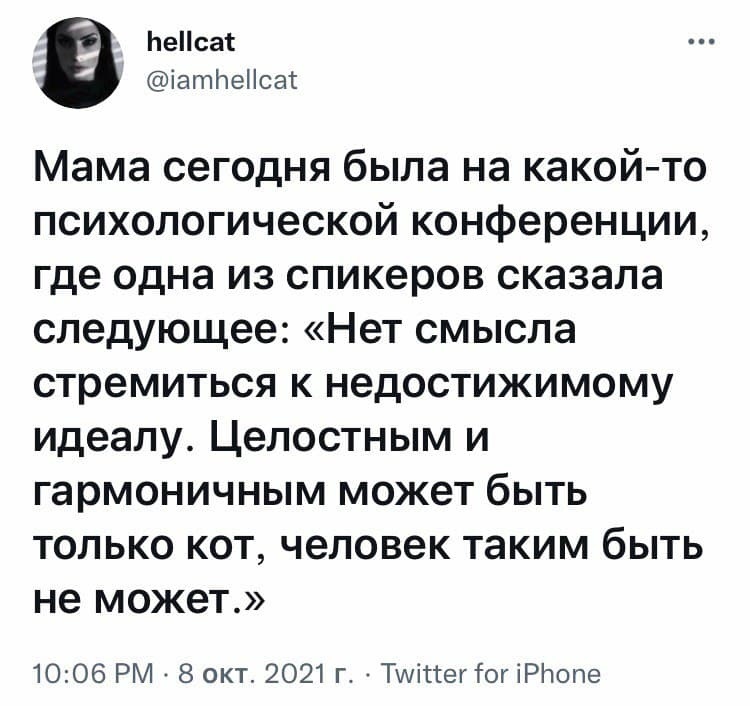 Даже не пытайтесь - Юмор, Скриншот, Twitter, Кот