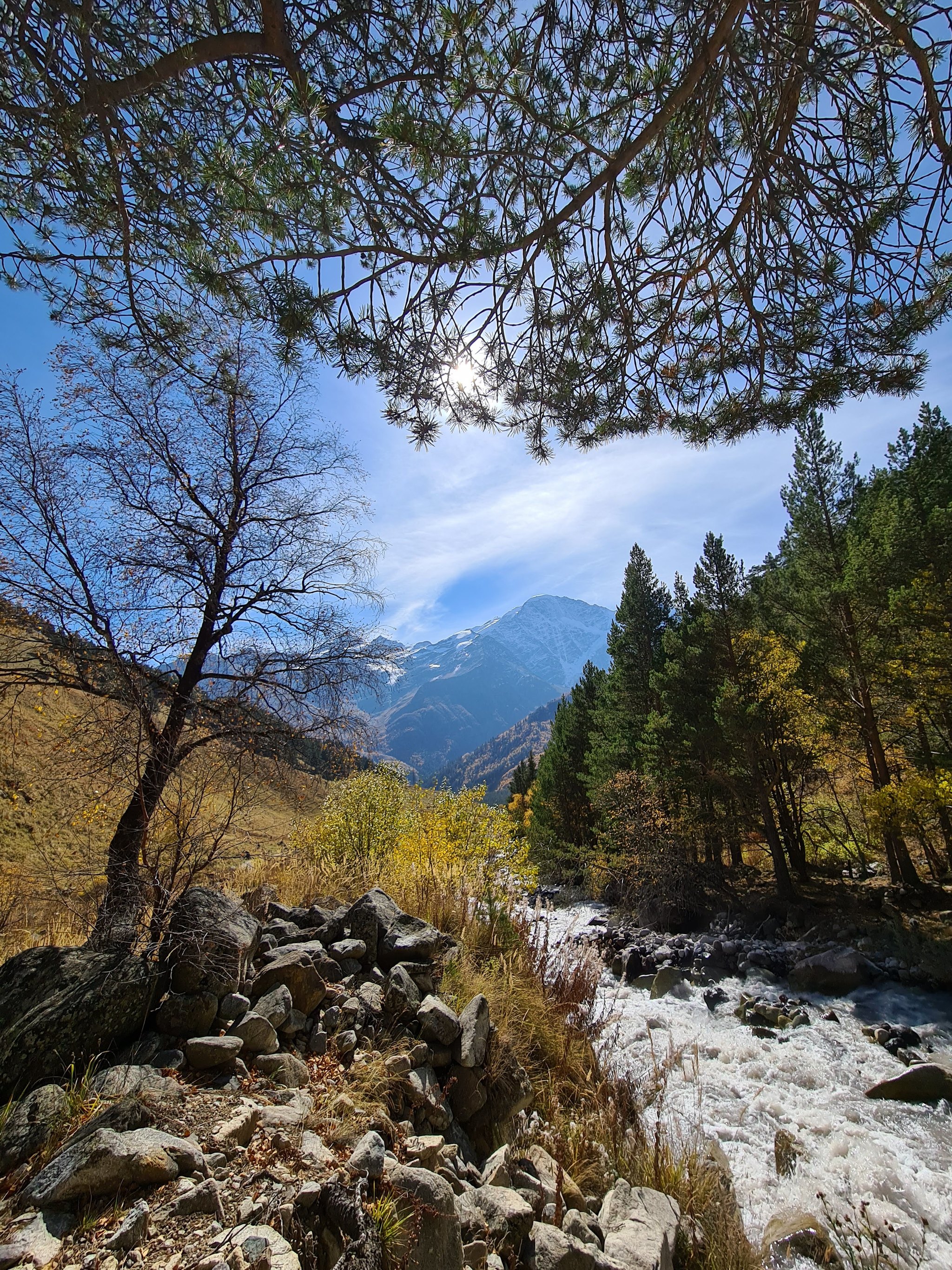 Autumn in the Elbrus region (and a cat) - My, Elbrus, Autumn, cat, Landscape, Longpost