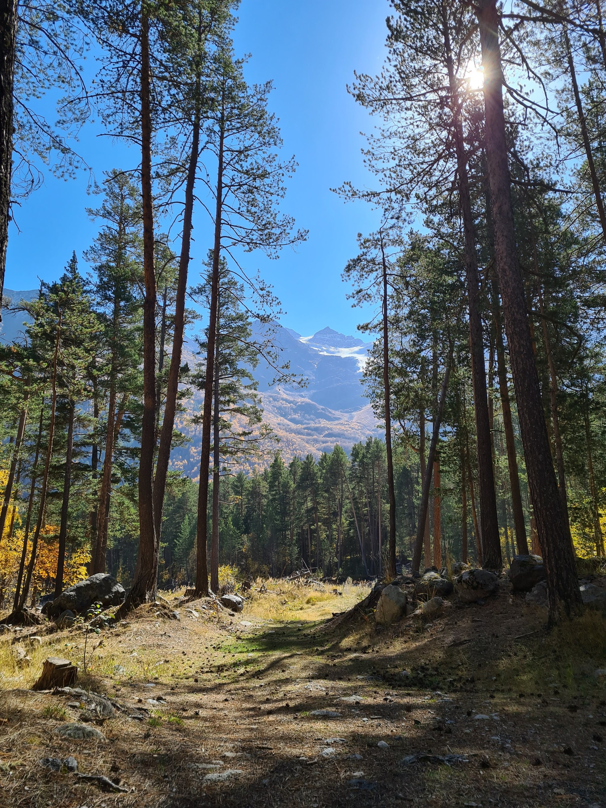 Autumn in the Elbrus region (and a cat) - My, Elbrus, Autumn, cat, Landscape, Longpost