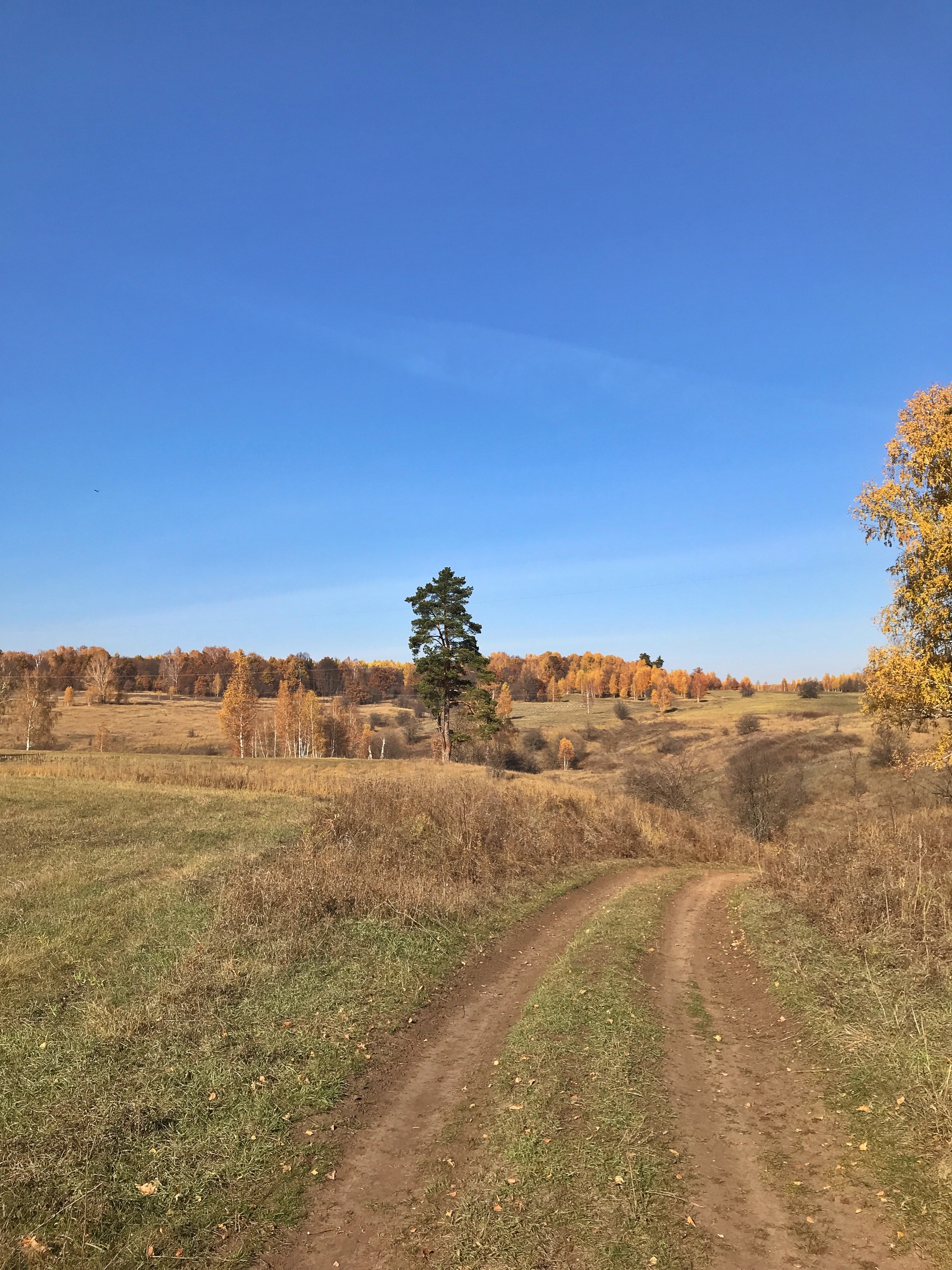 Cycling season isn't over yet - My, A bike, Bike ride, Nature, Samarskaya luka, Autumn, Longpost