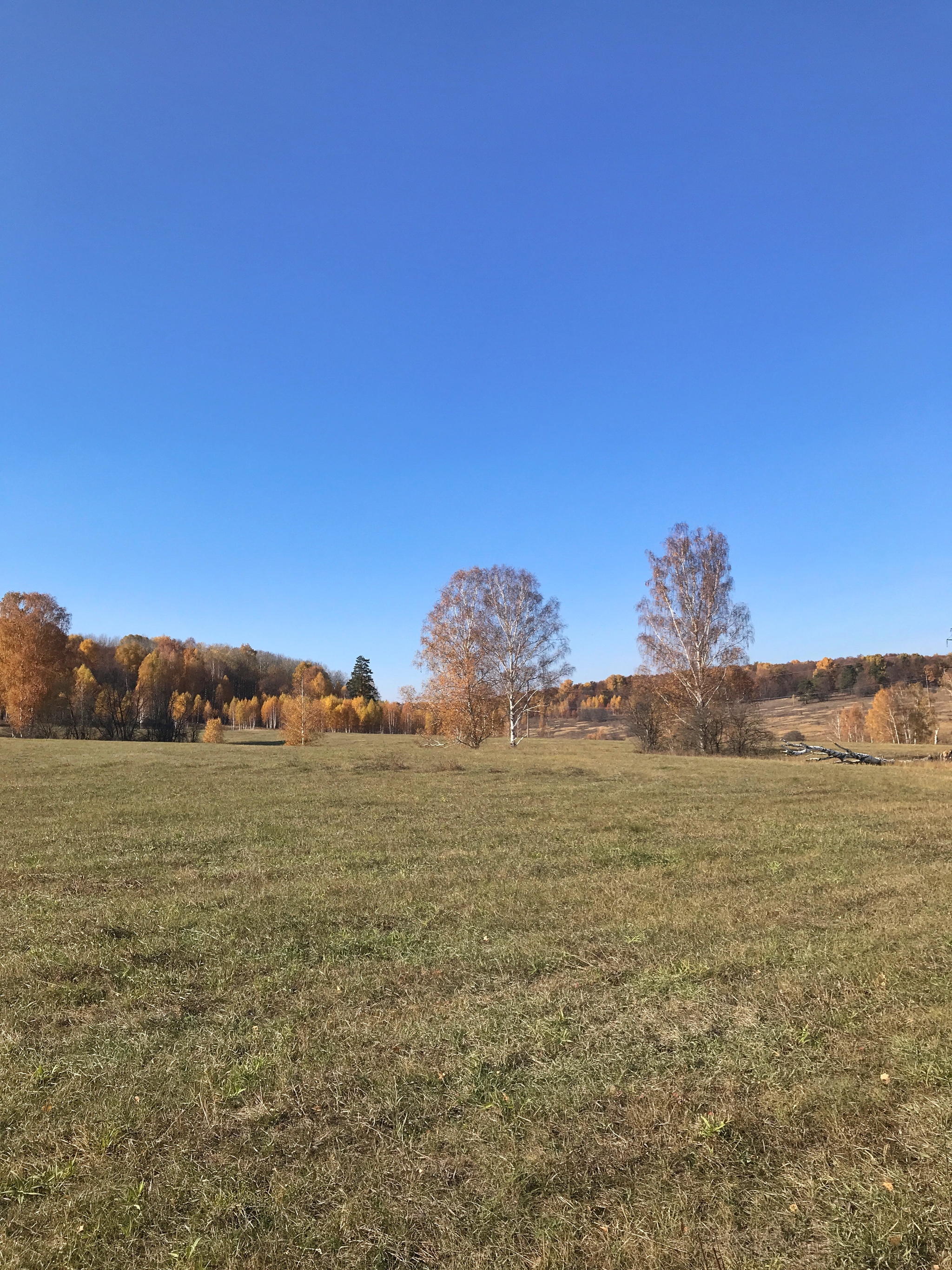 Cycling season isn't over yet - My, A bike, Bike ride, Nature, Samarskaya luka, Autumn, Longpost