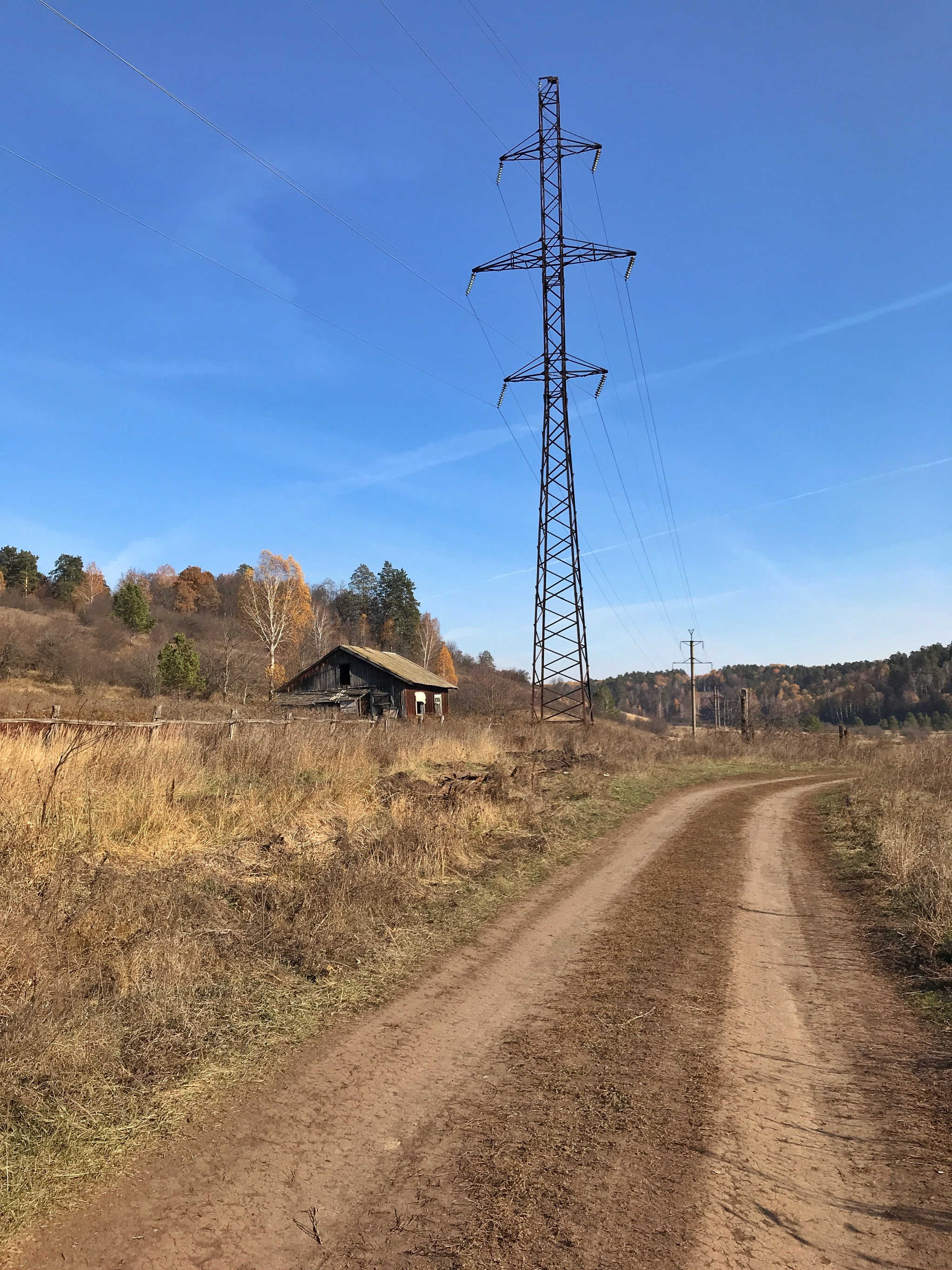 Cycling season isn't over yet - My, A bike, Bike ride, Nature, Samarskaya luka, Autumn, Longpost