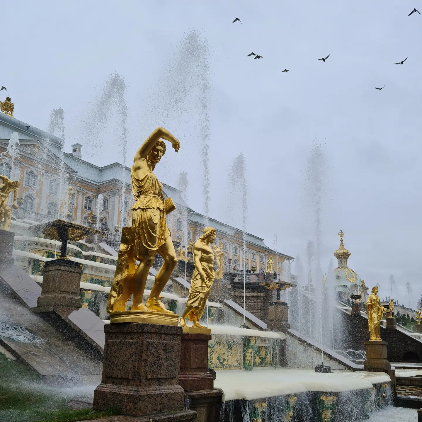 Осень в Петергофе. Финский залив. Красивое... | Пикабу