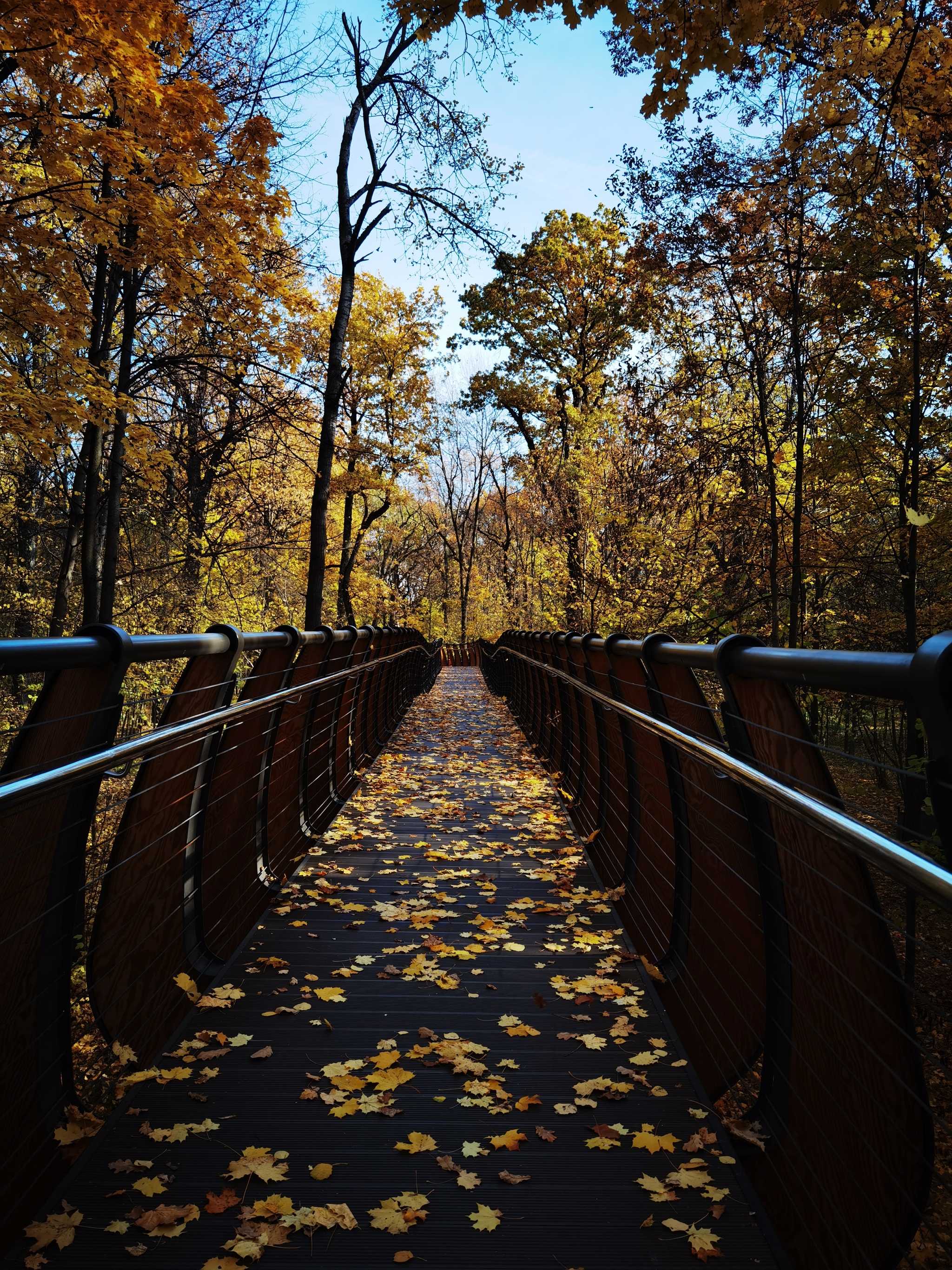 Visual - My, Autumn, Thoughts, Mobile photography, Longpost