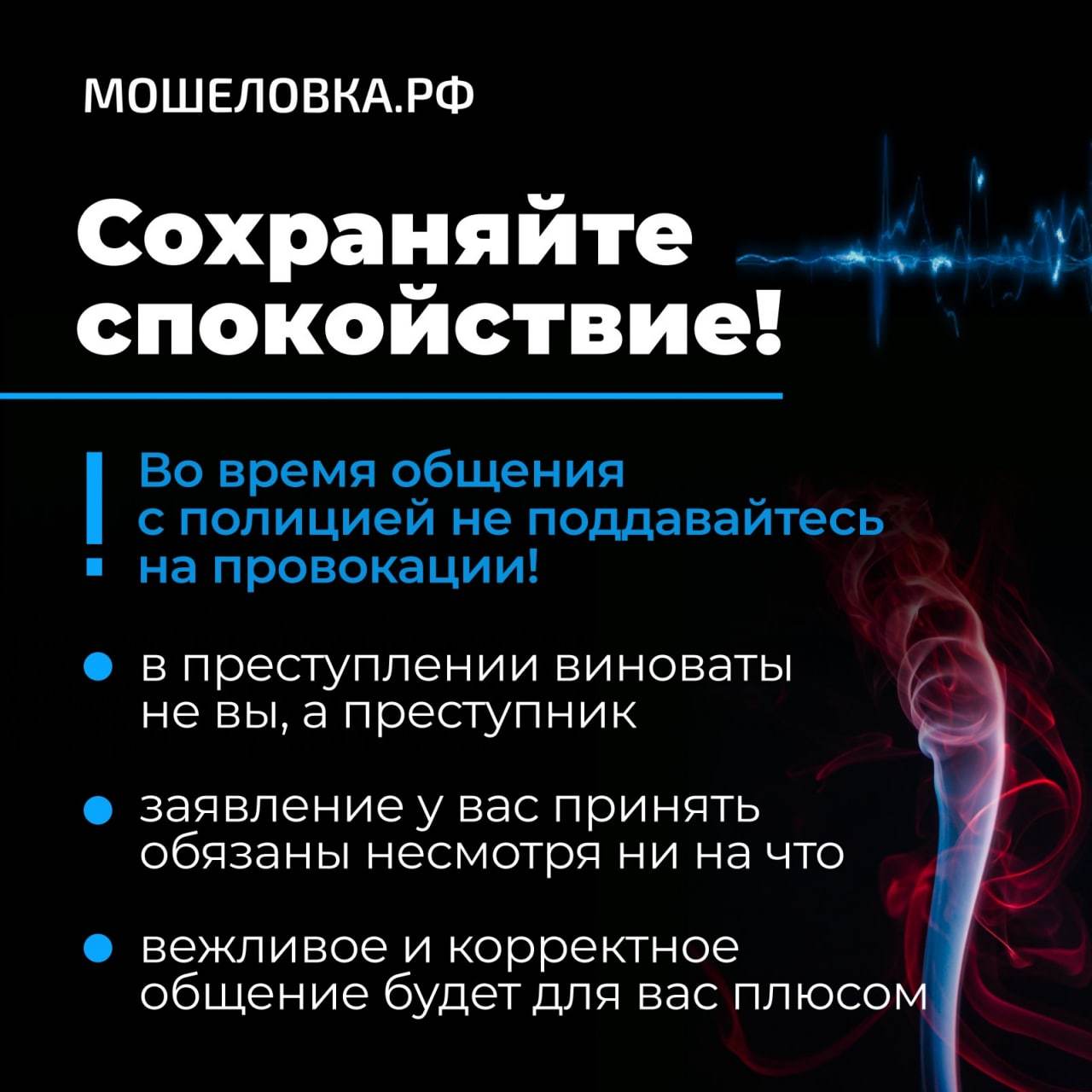 Как общаться с полицией, если вы стали жертвой мошенников | Пикабу