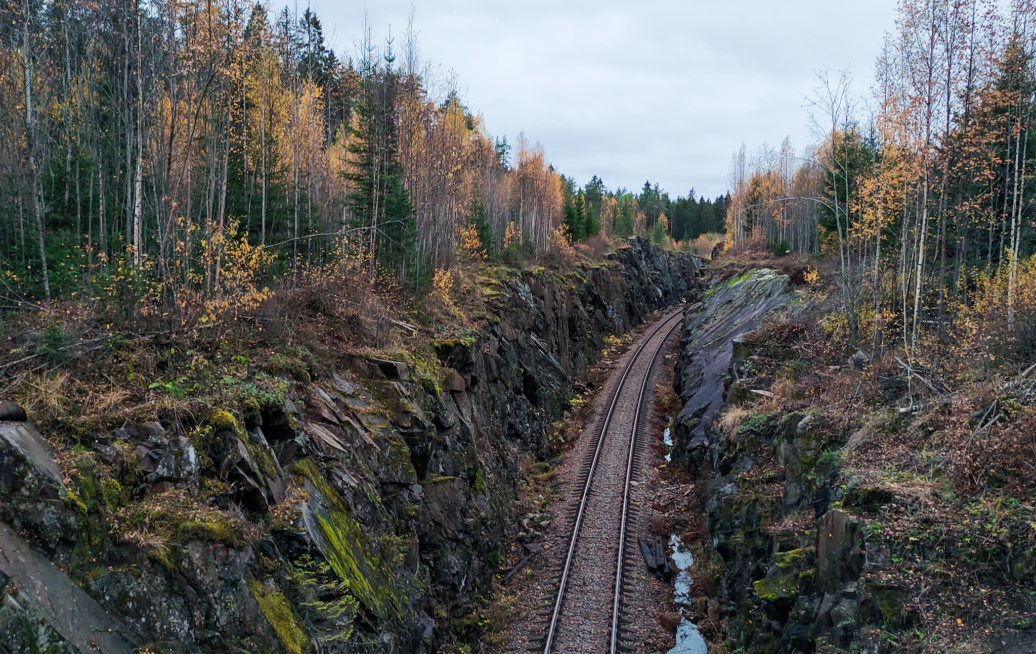 Karelian forest - My, Russia, Travels, The photo, Карелия, Nature, Forest, Longpost, Railway