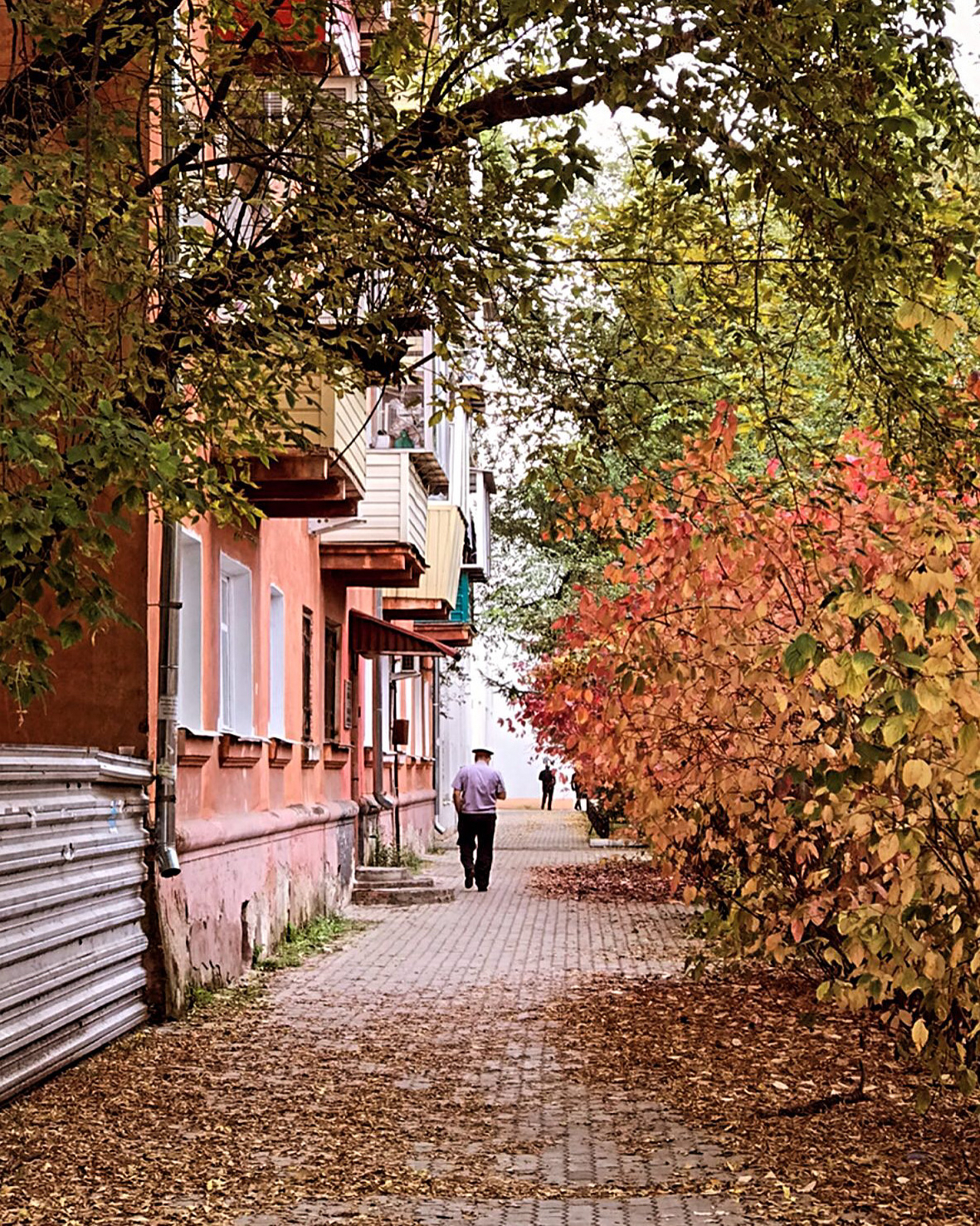 Autumn - My, Autumn, Blagoveshchensk, Nissan 350z, Town, Mobile photography, Longpost